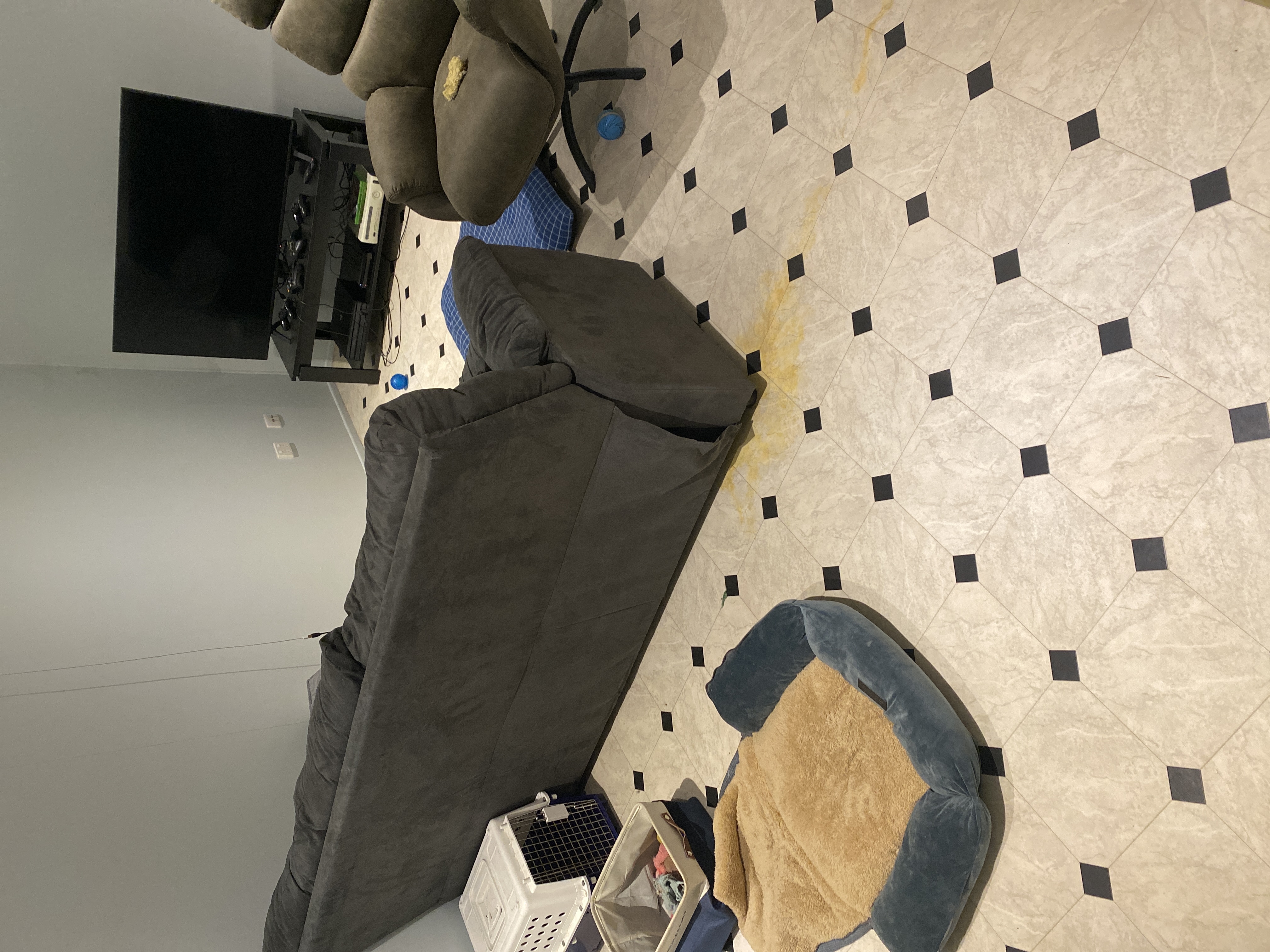 image-10