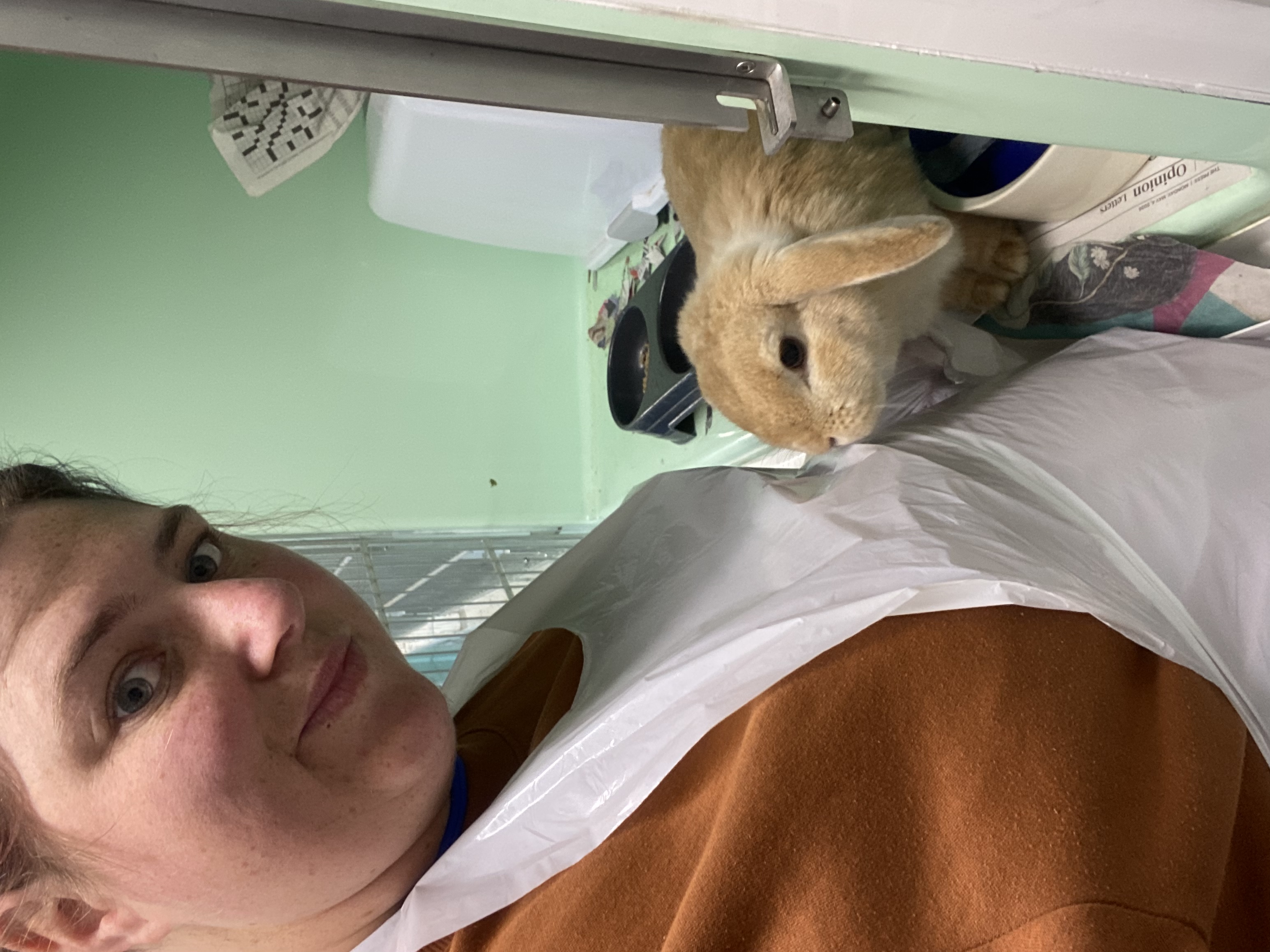image-5