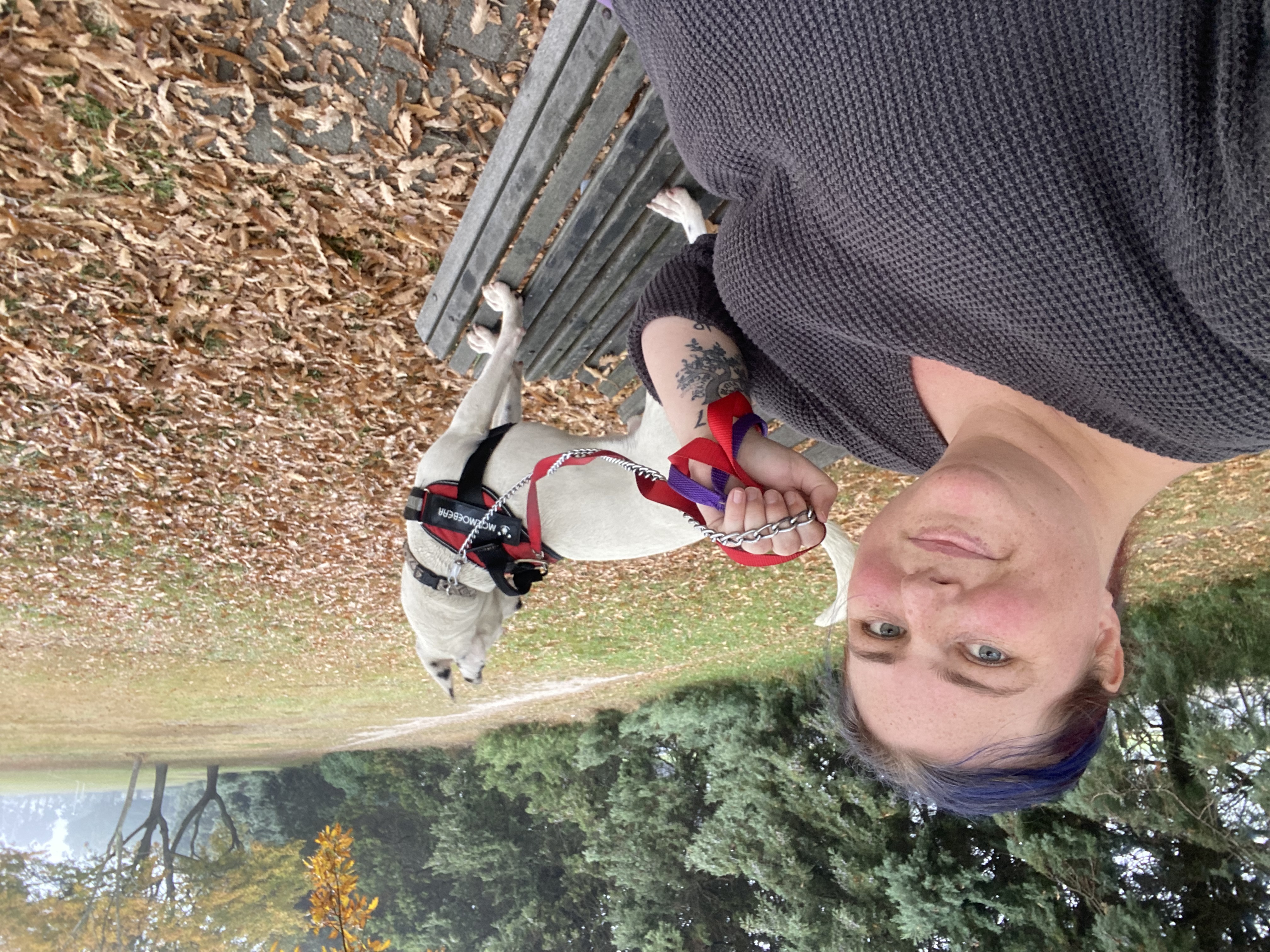 image-4