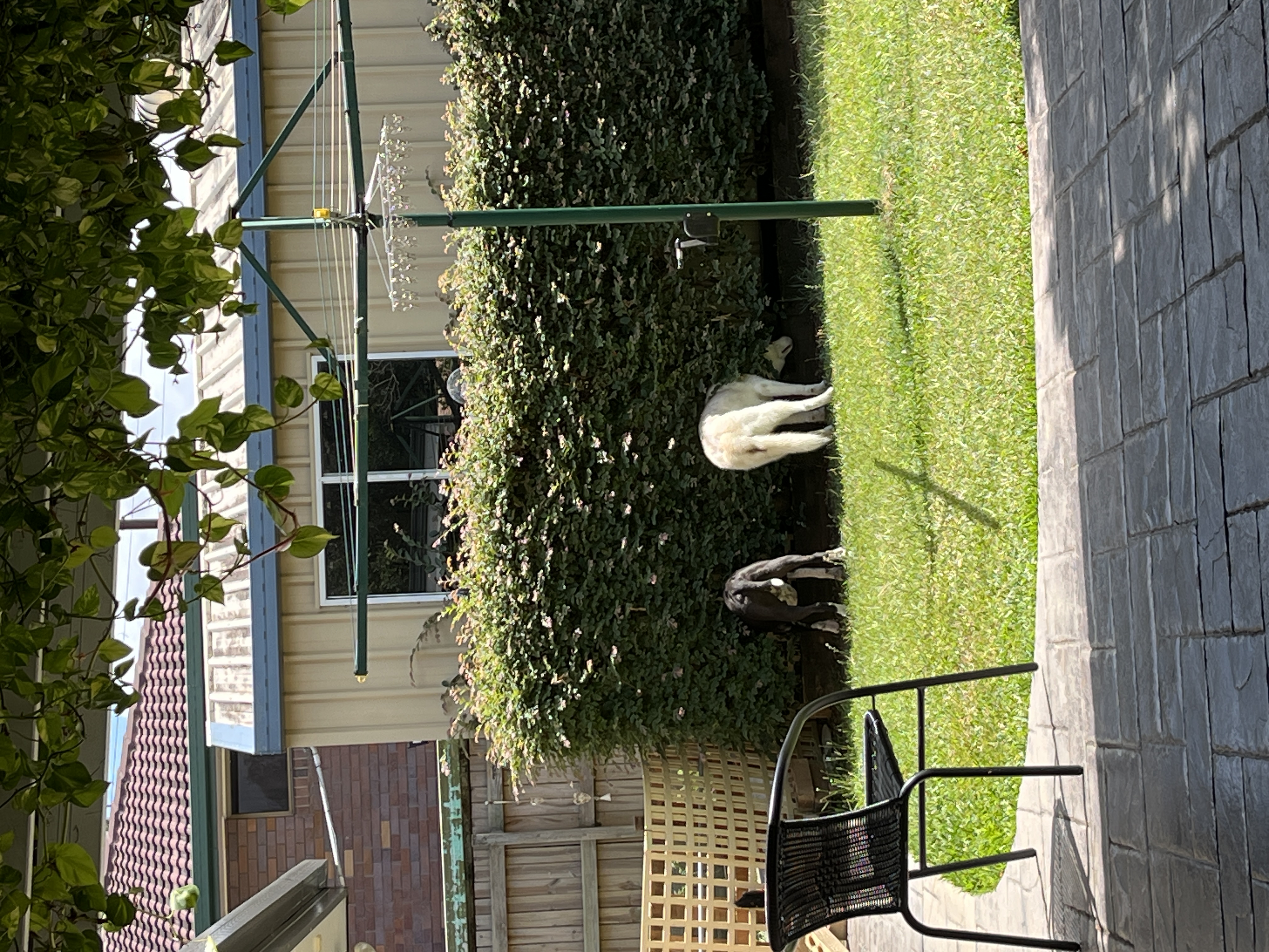 image-18