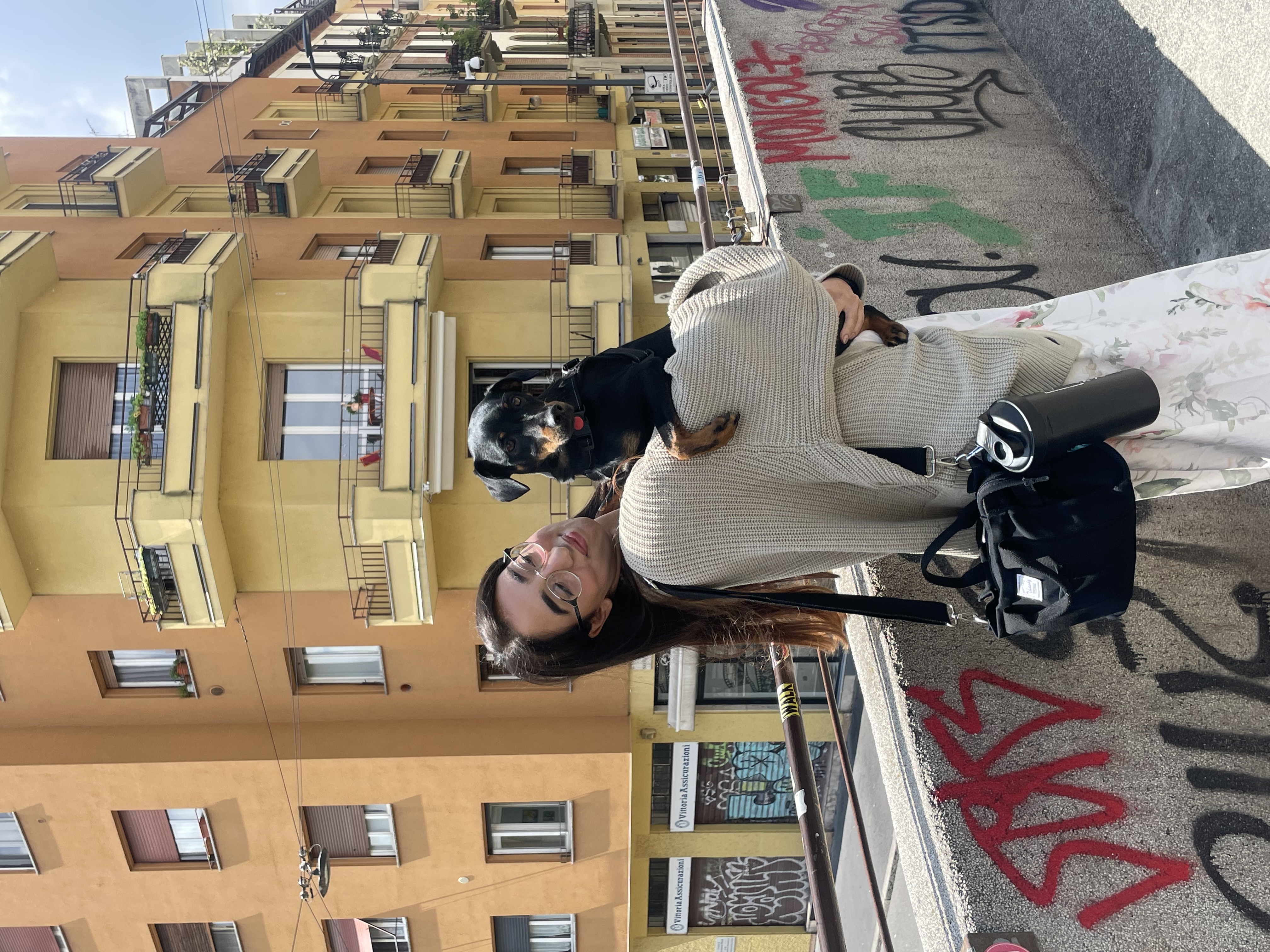 image-6