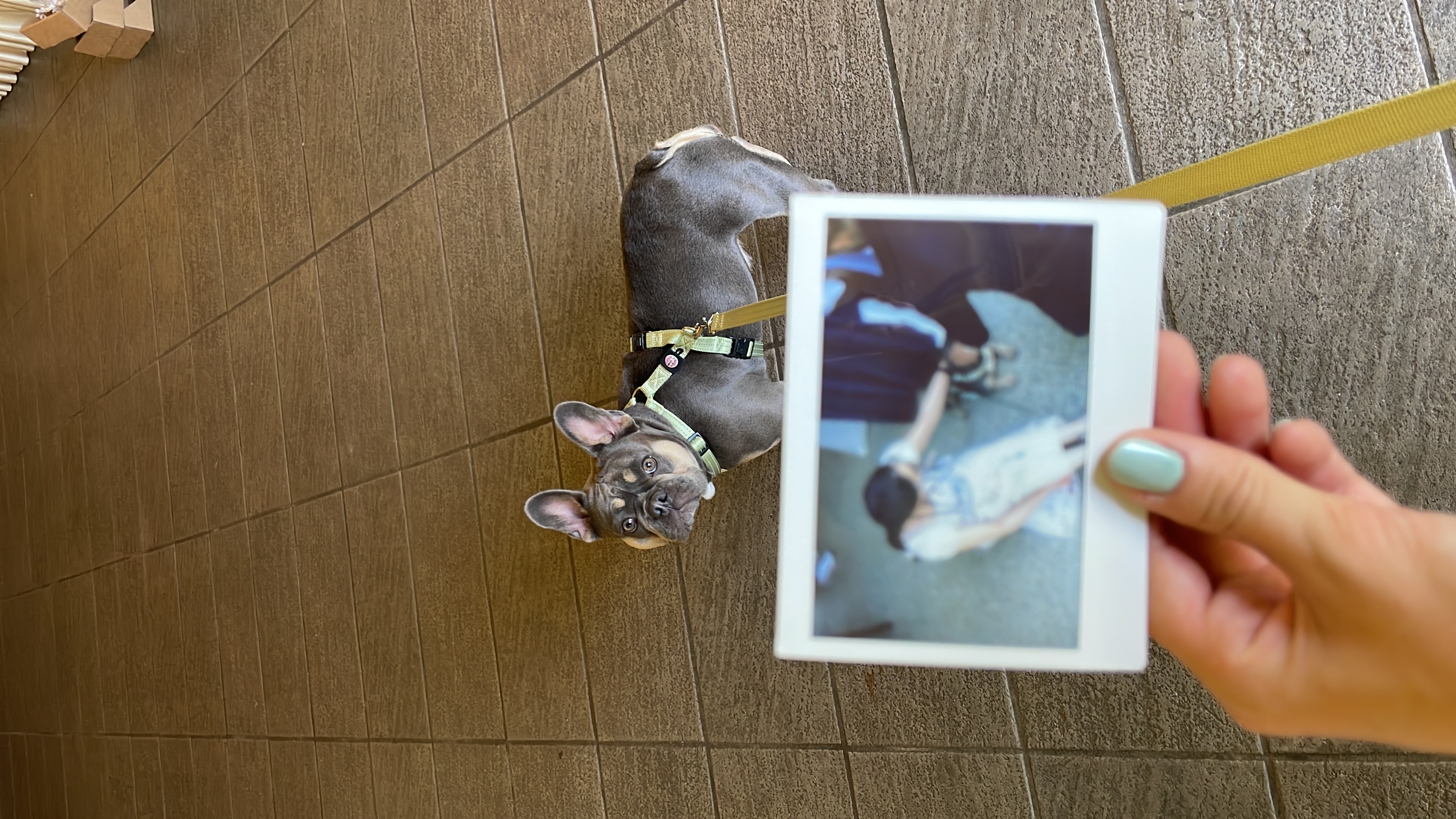 image-3