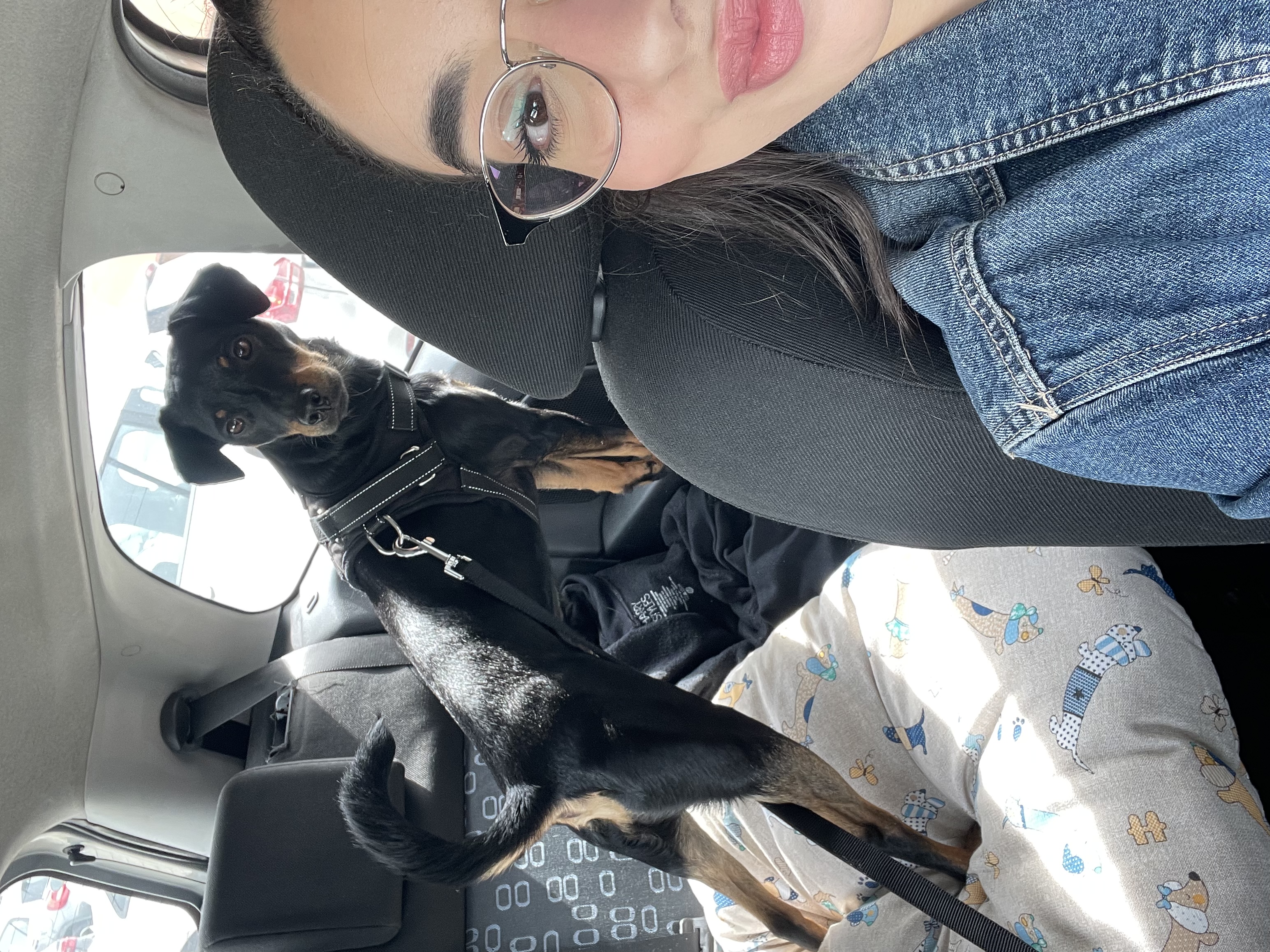 image-1