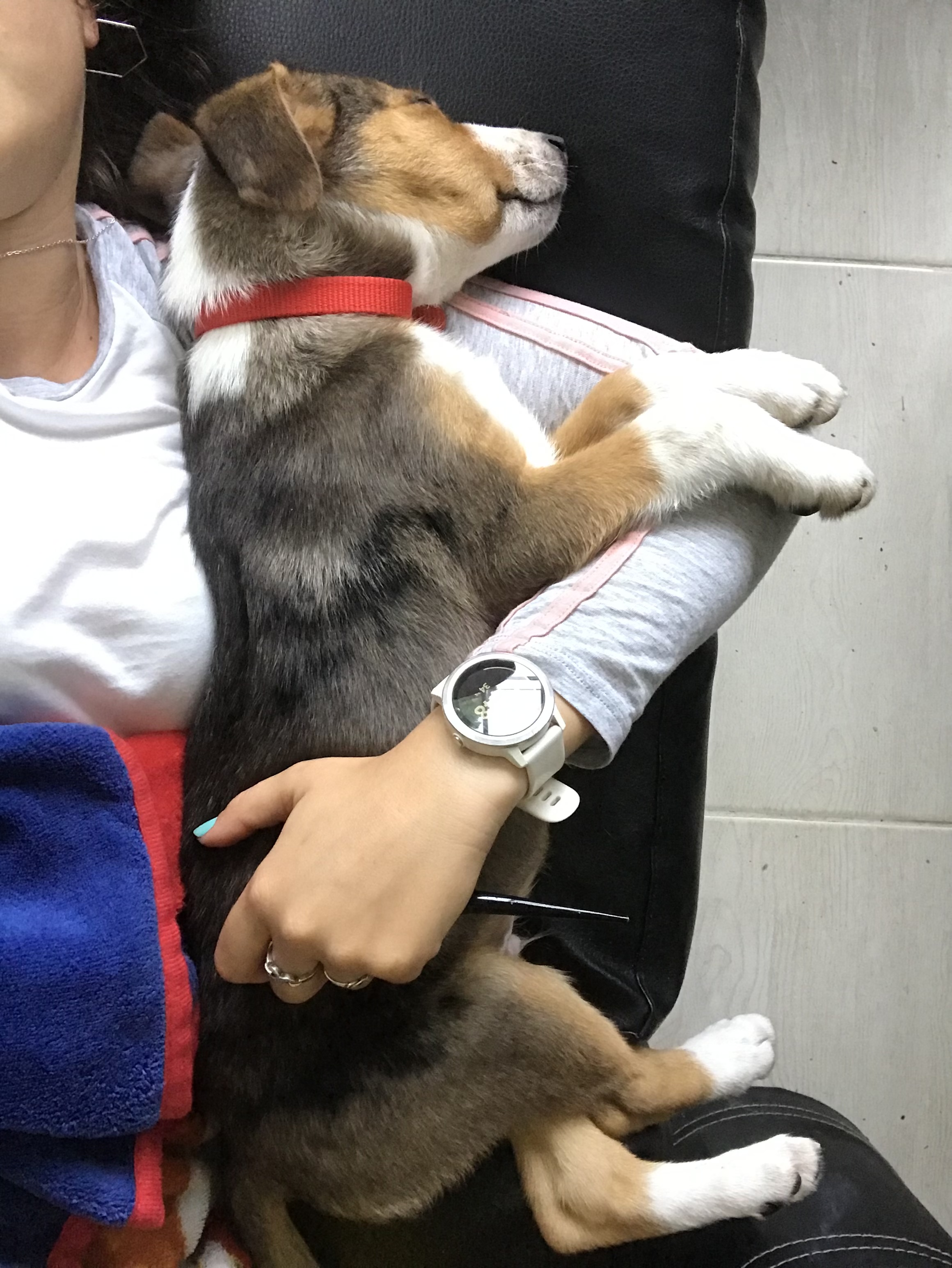 image-6