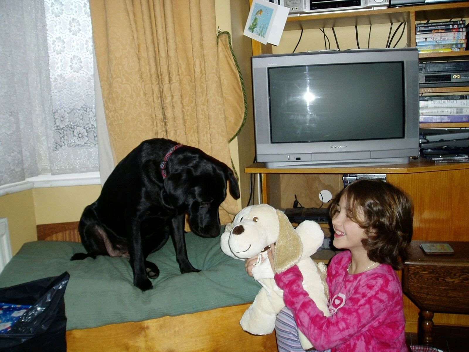 image-11