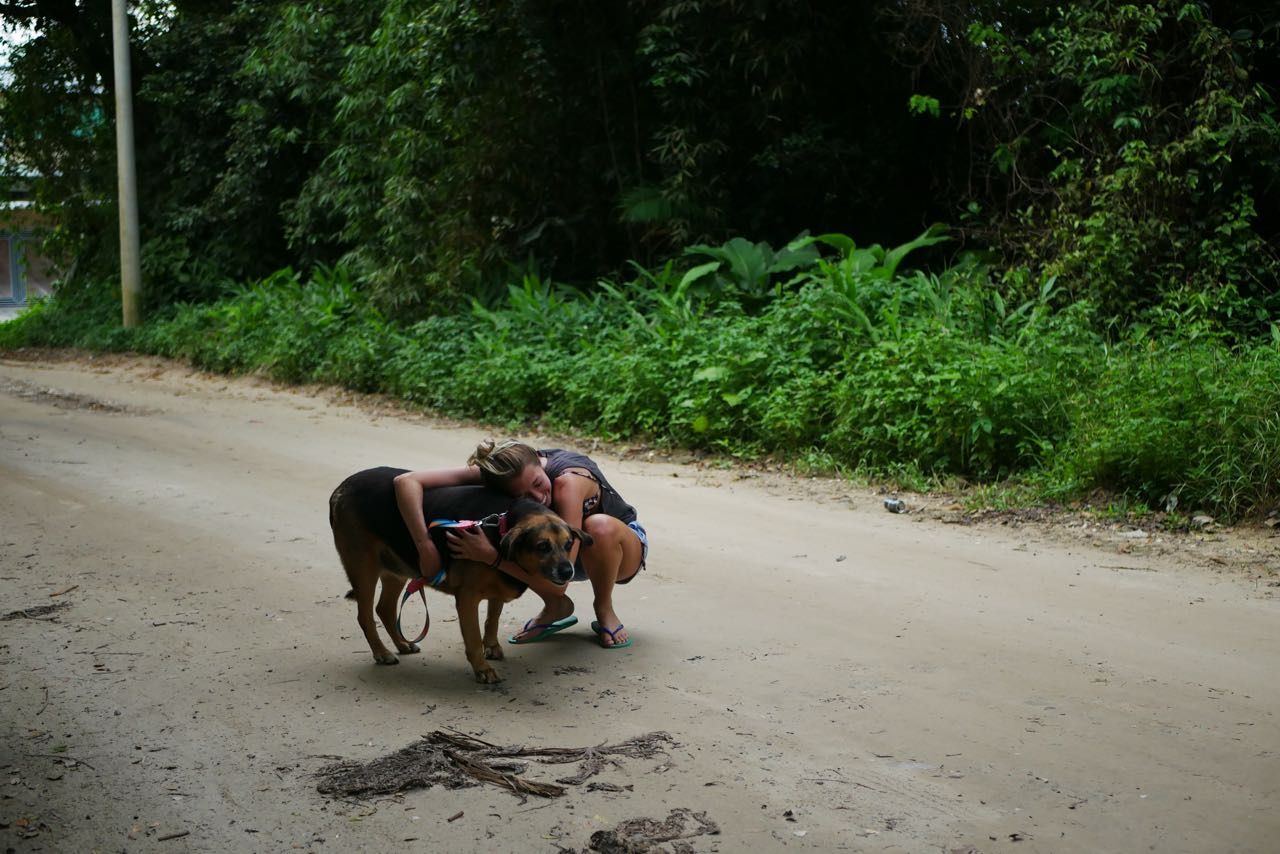 image-5