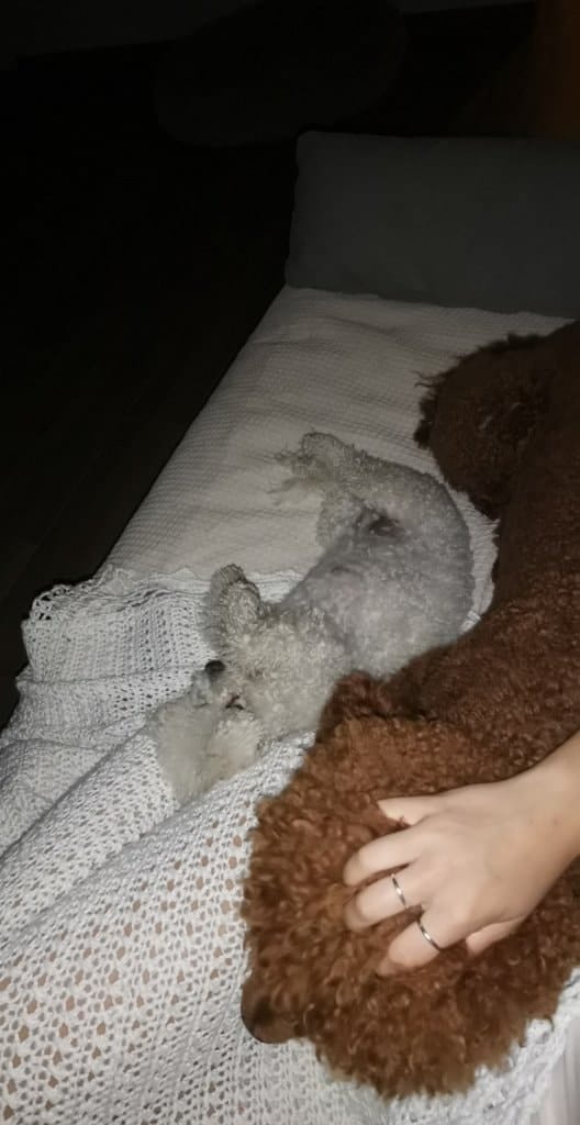 image-7
