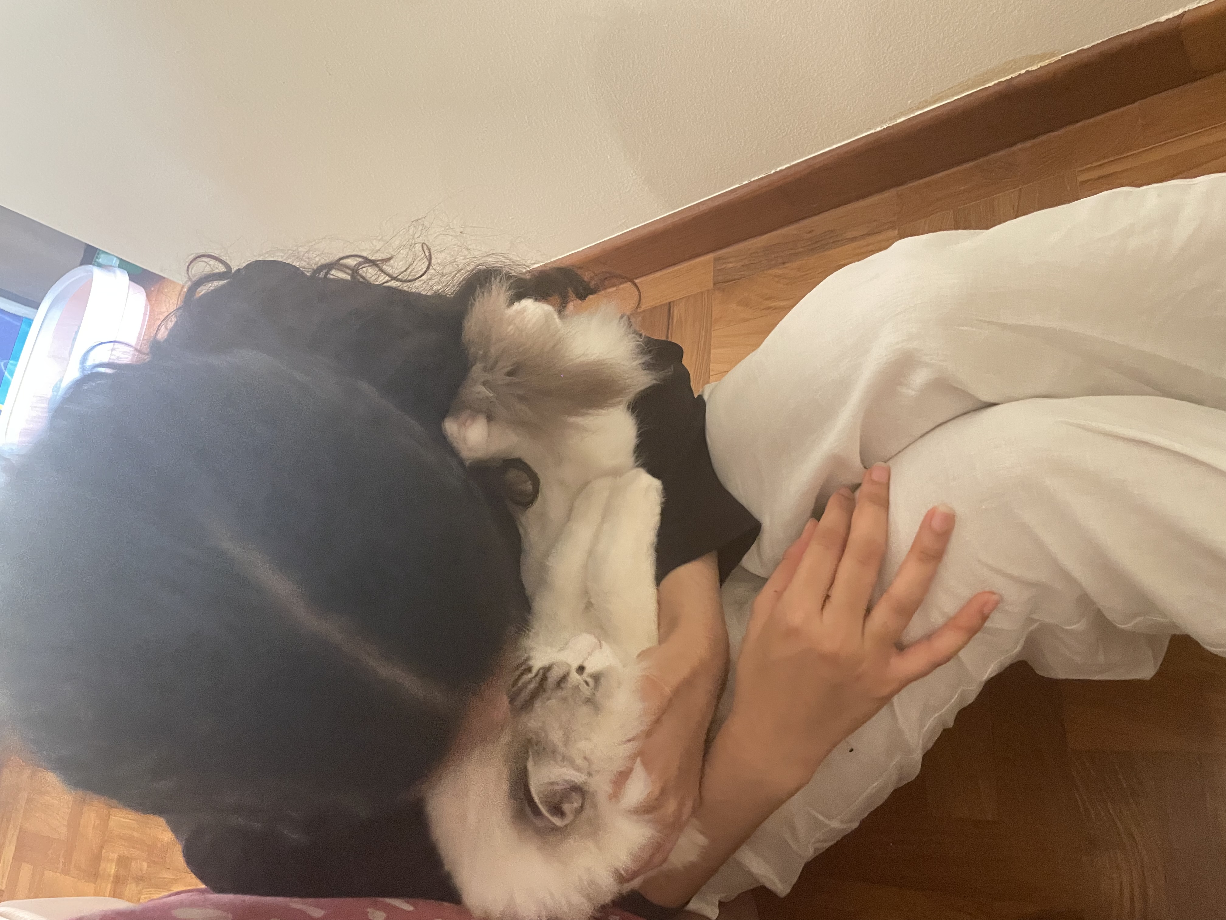 image-5