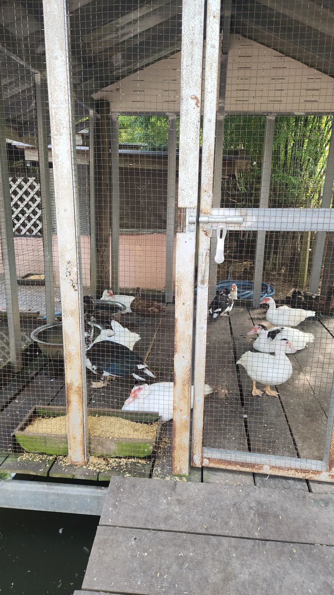 image-7