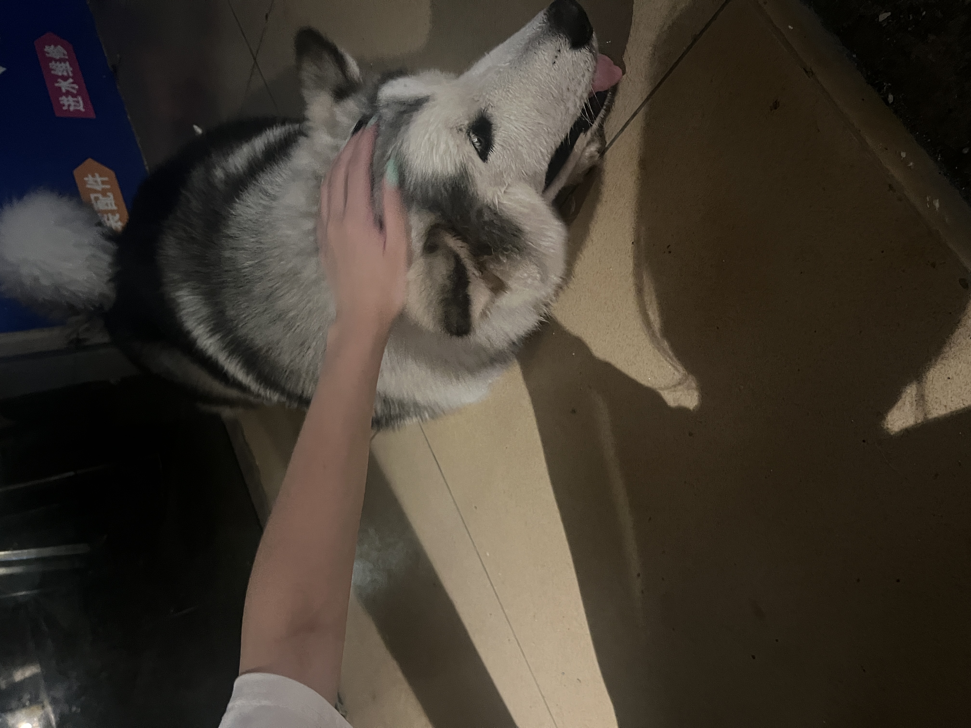 image-7