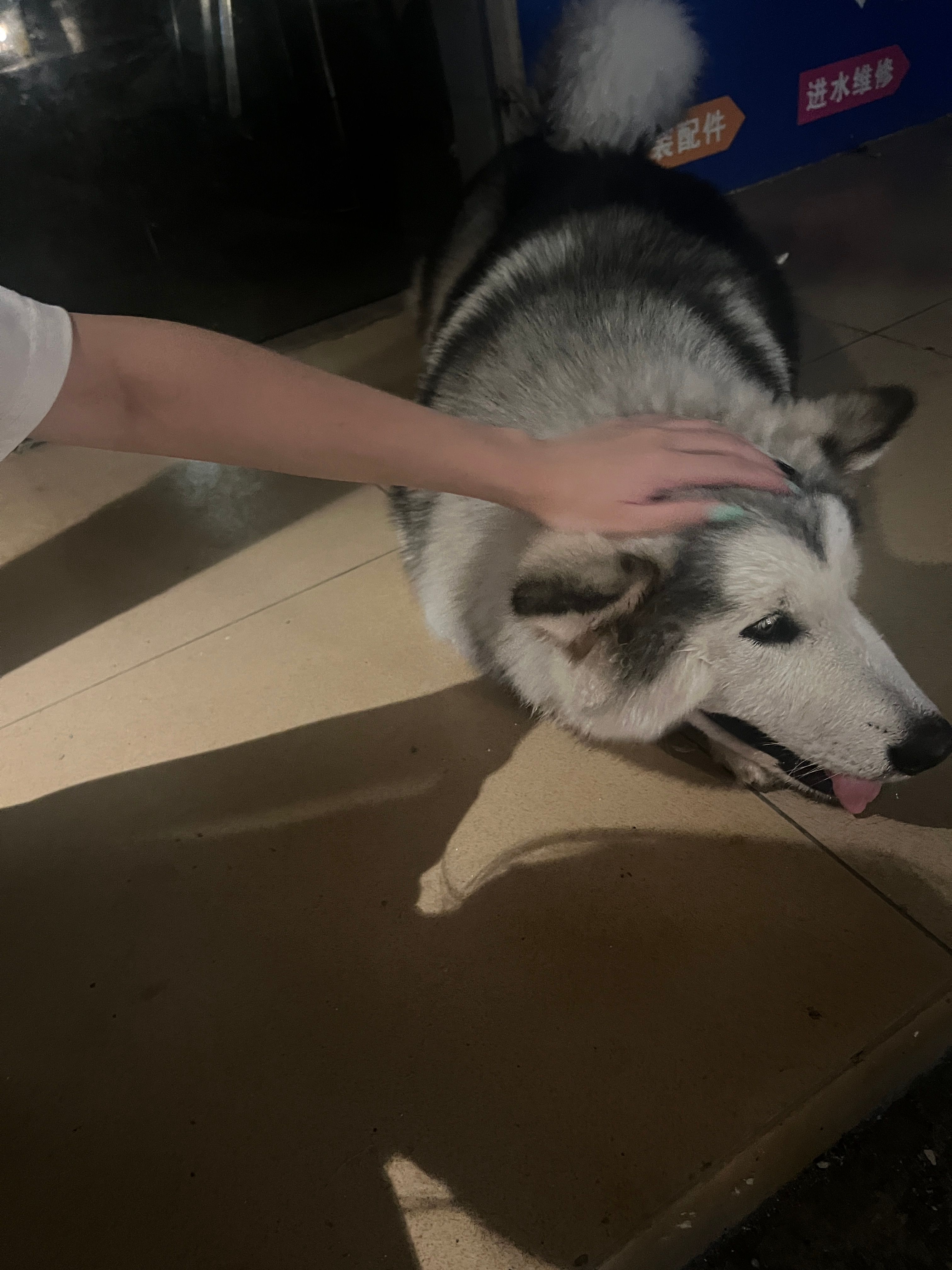 image-7