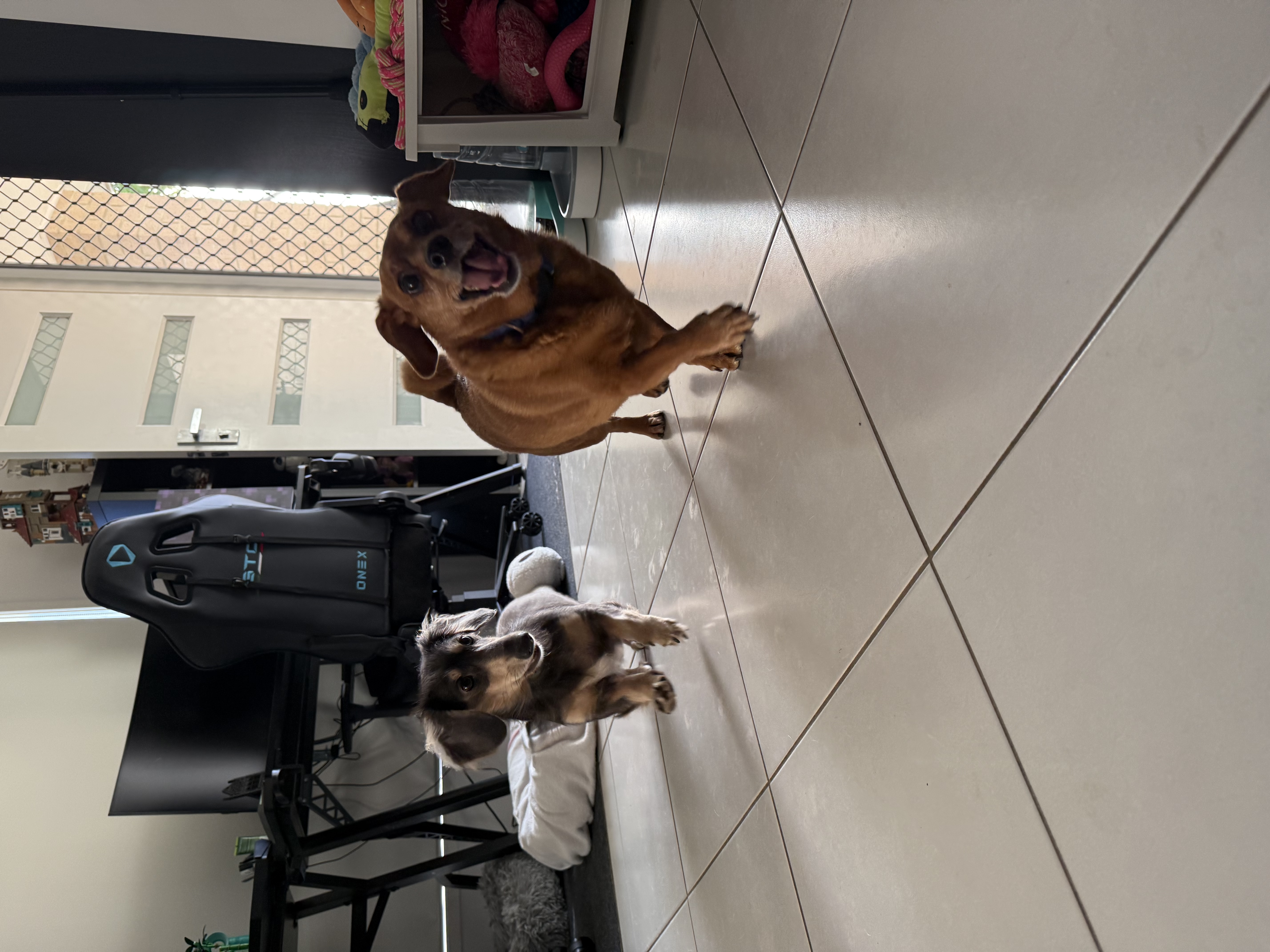 image-44