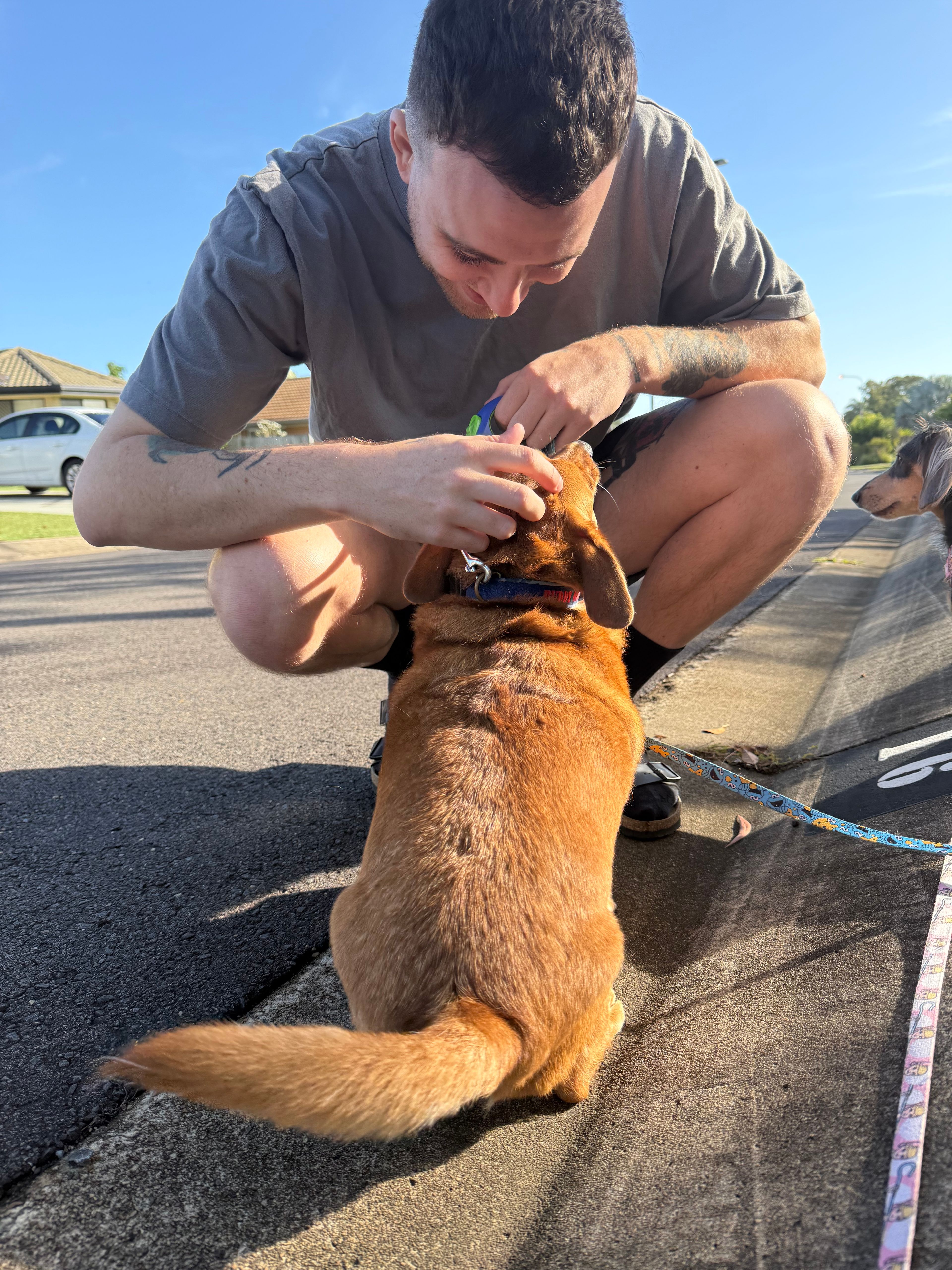 image-28