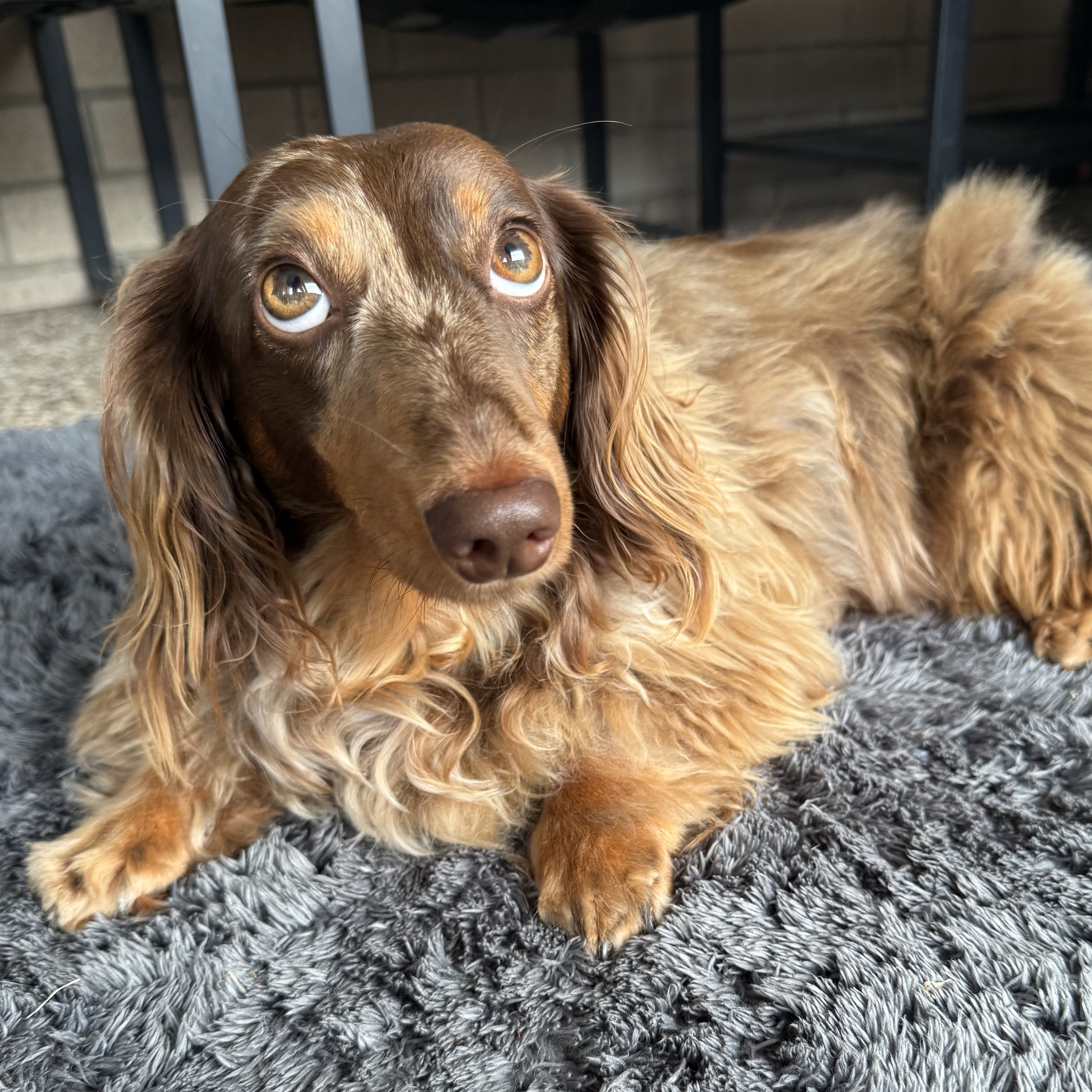Rosko
