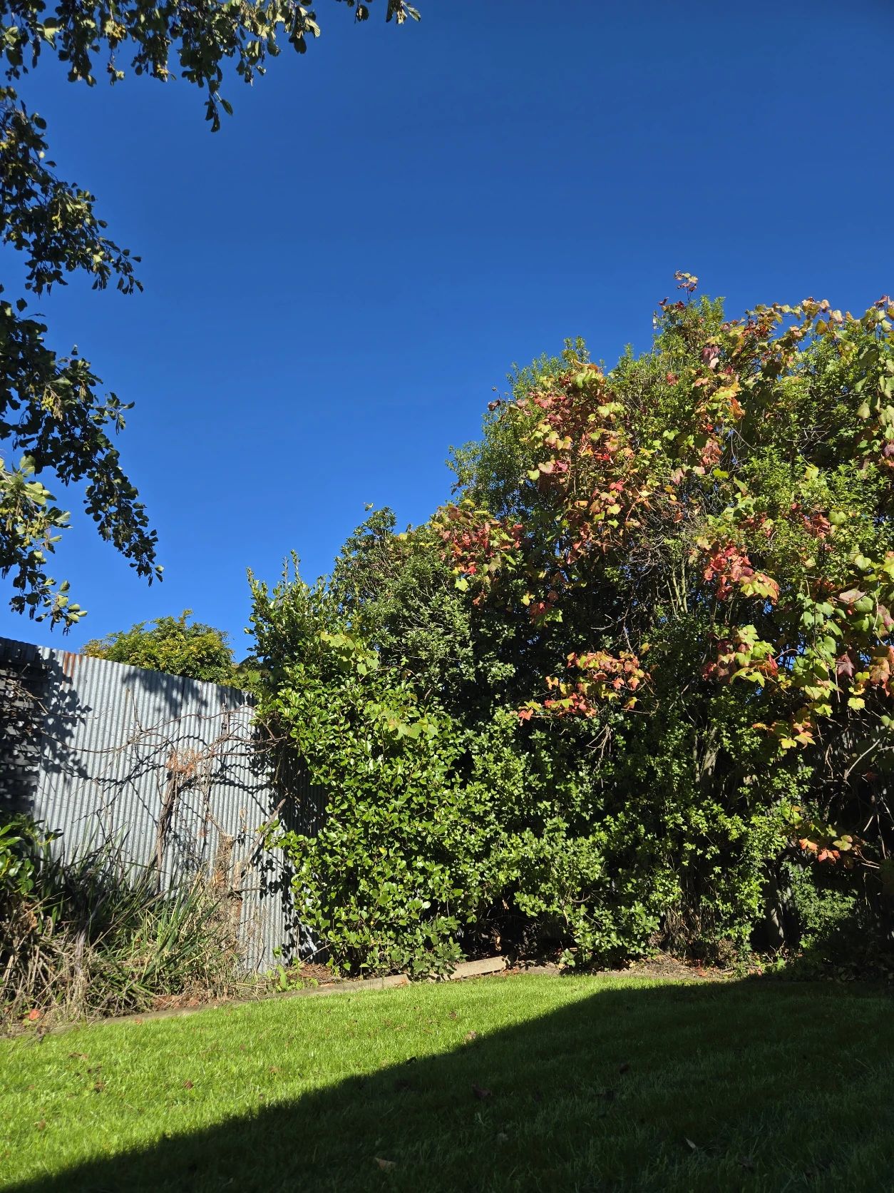 image-12