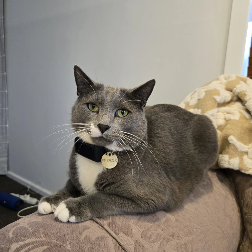 Frankie