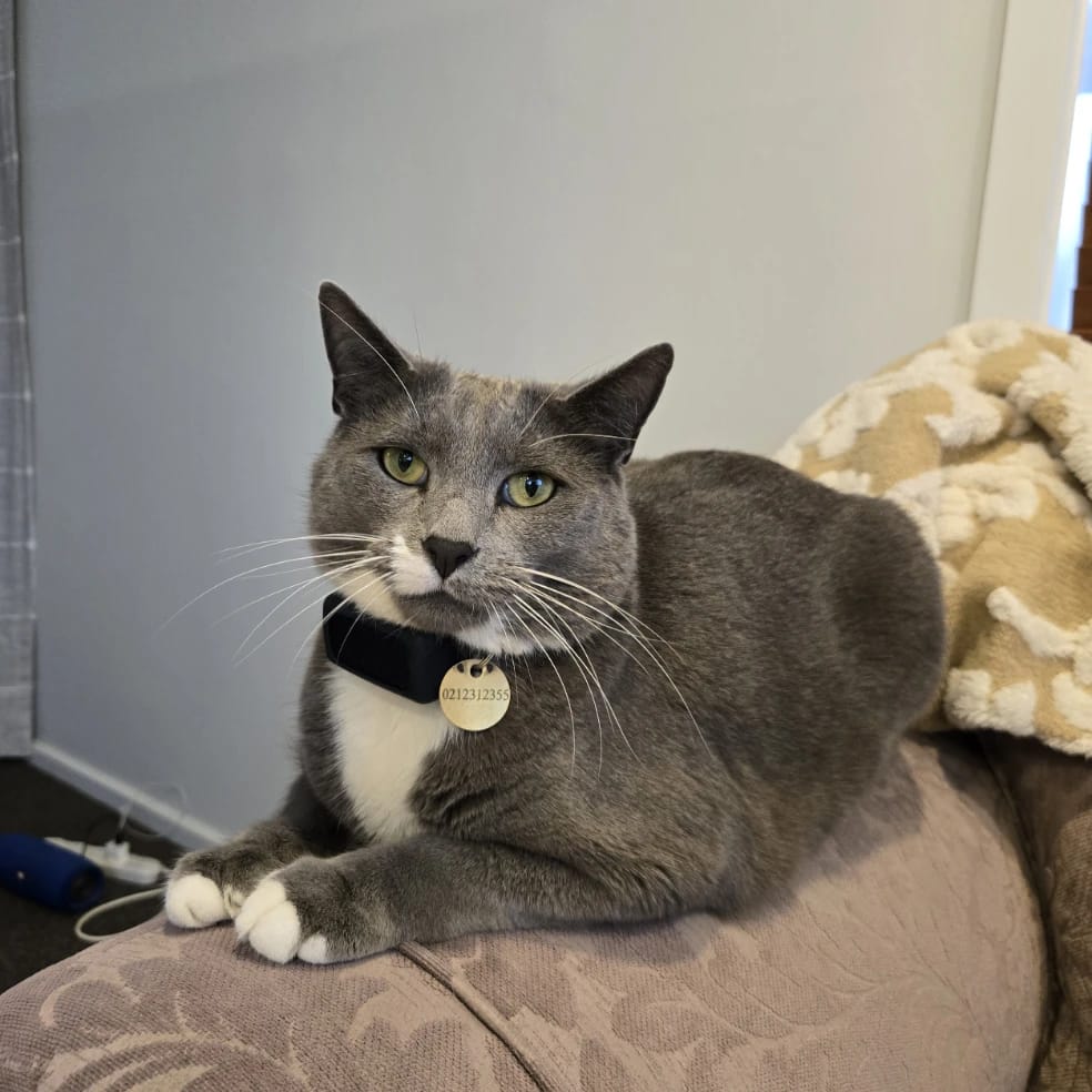 Frankie