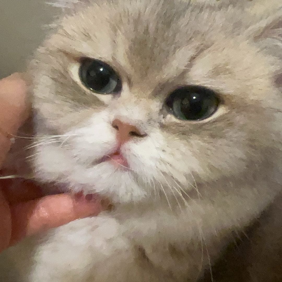 Freya