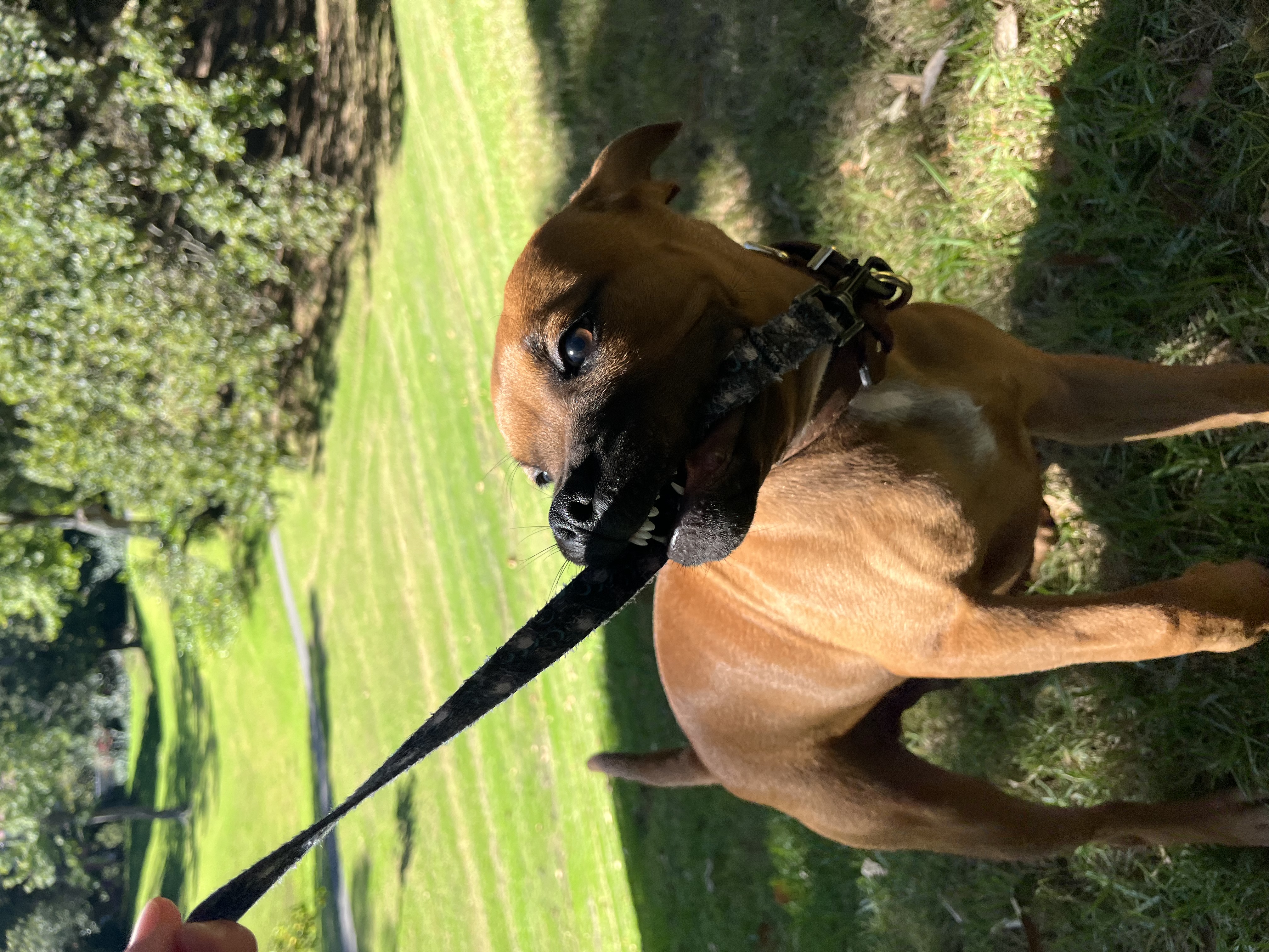 image-7