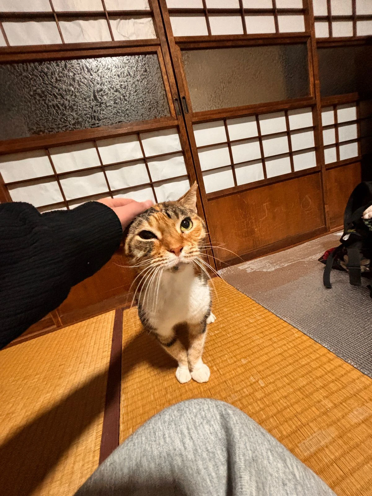 image-3