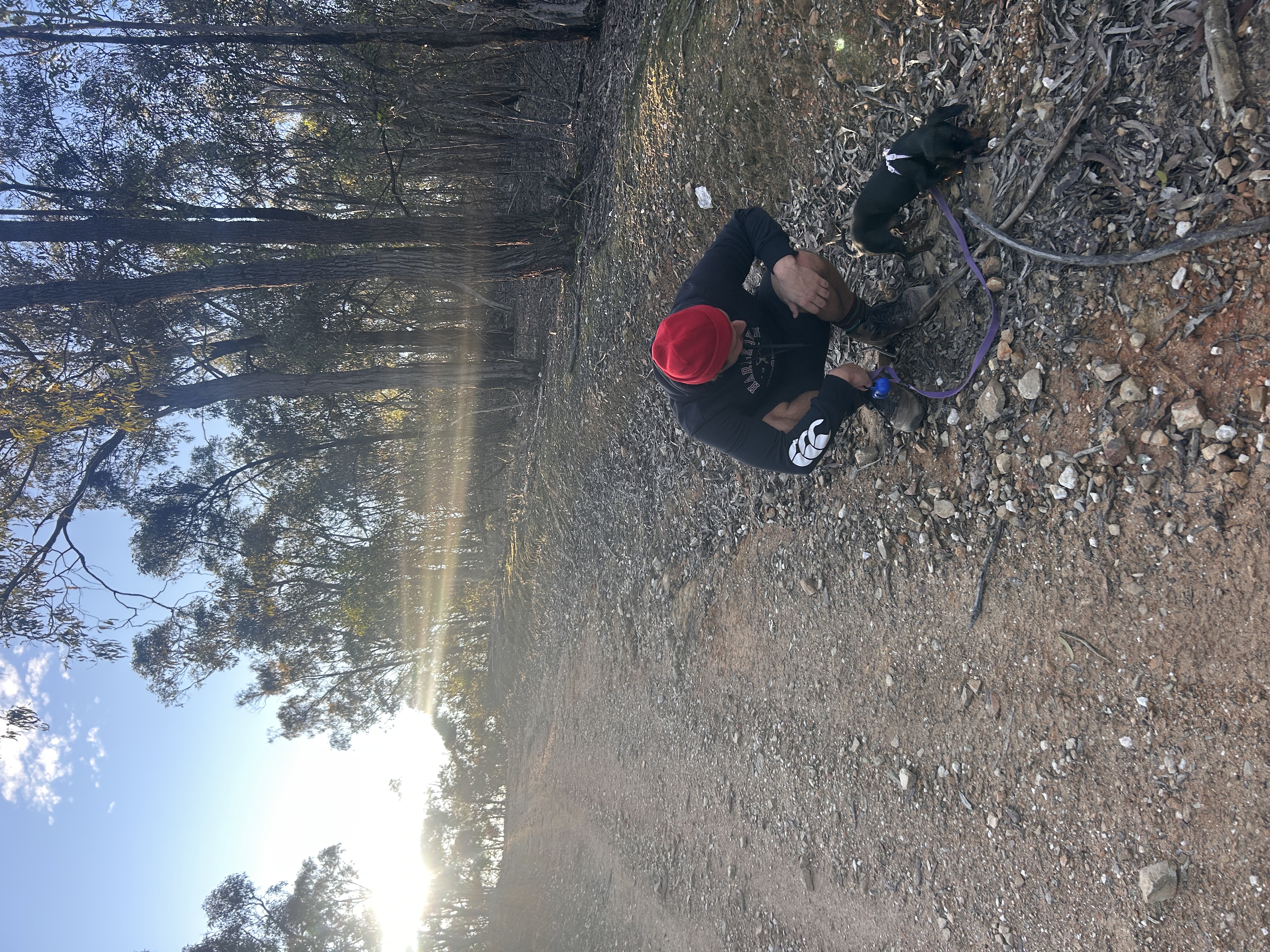 image-5