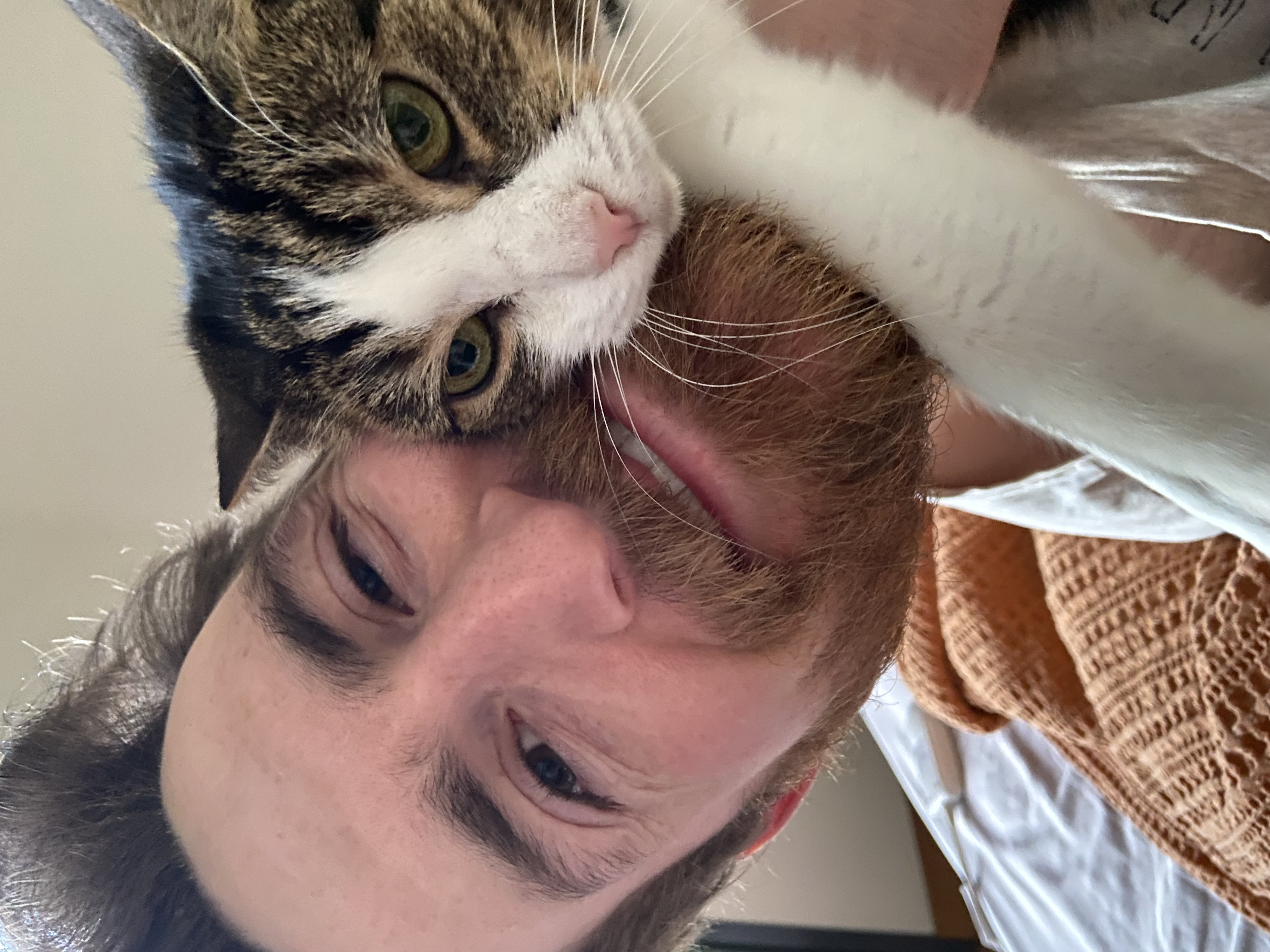 image-5