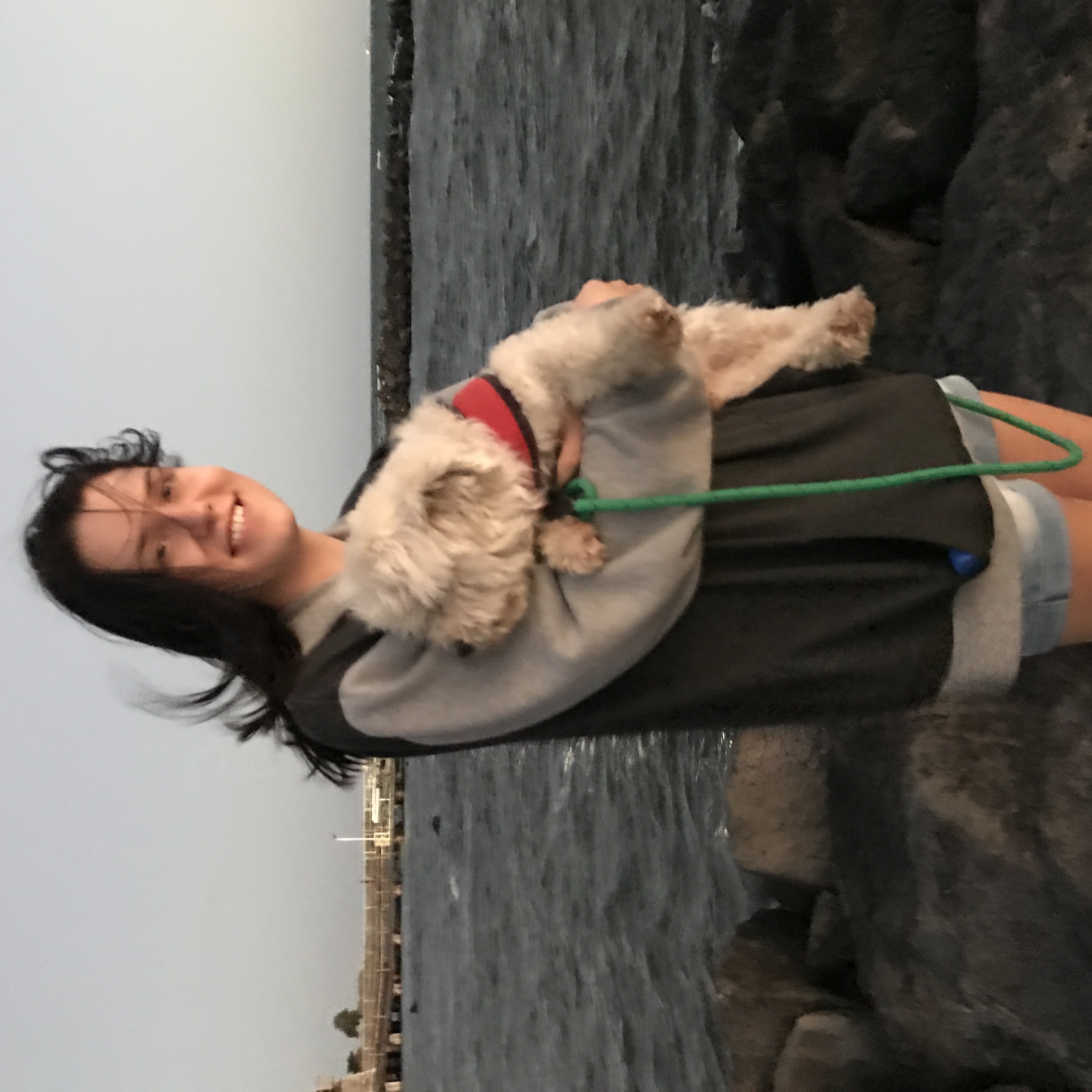 image-10