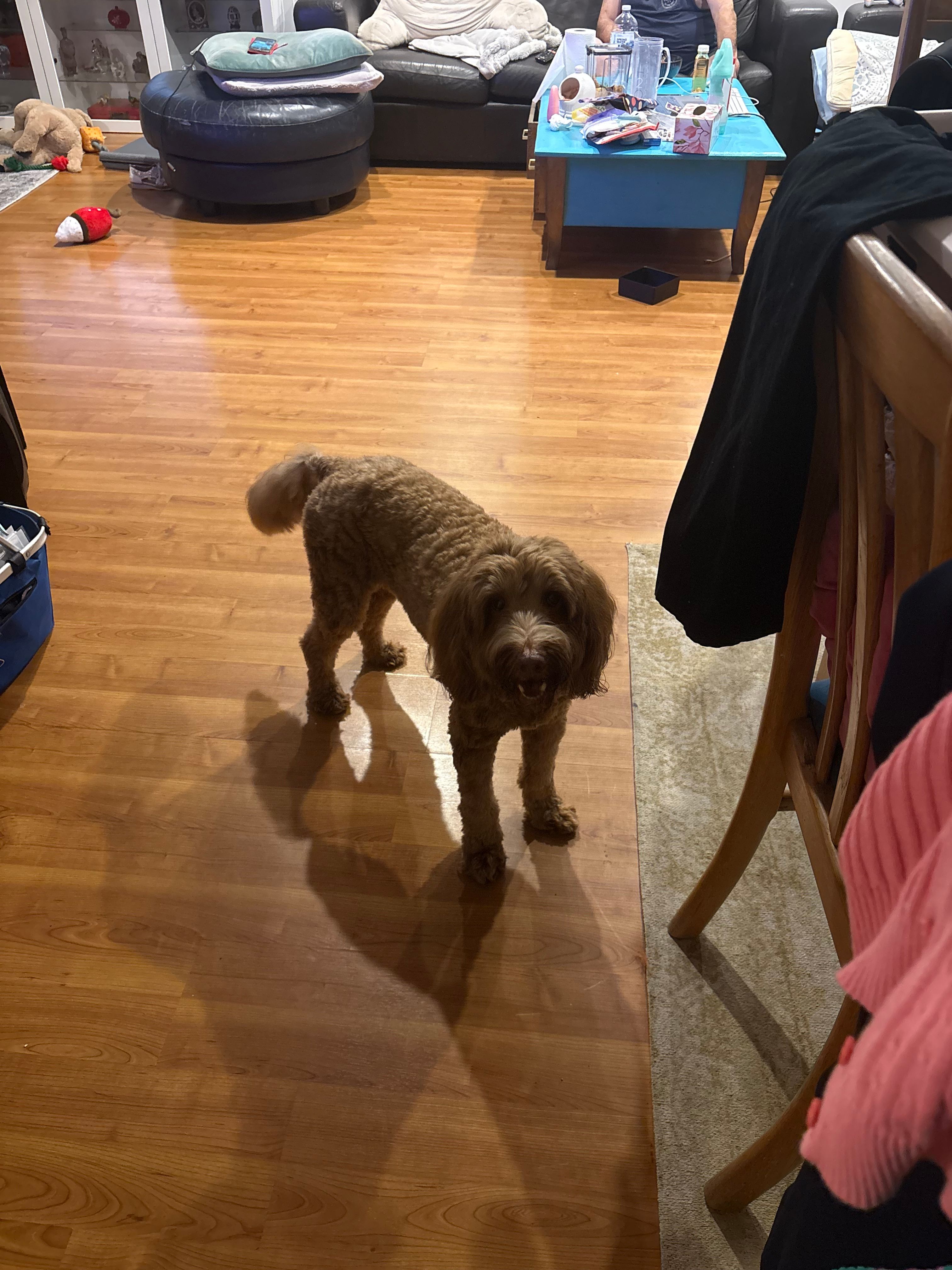 image-11