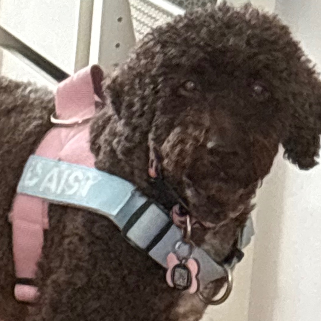 Daisy 