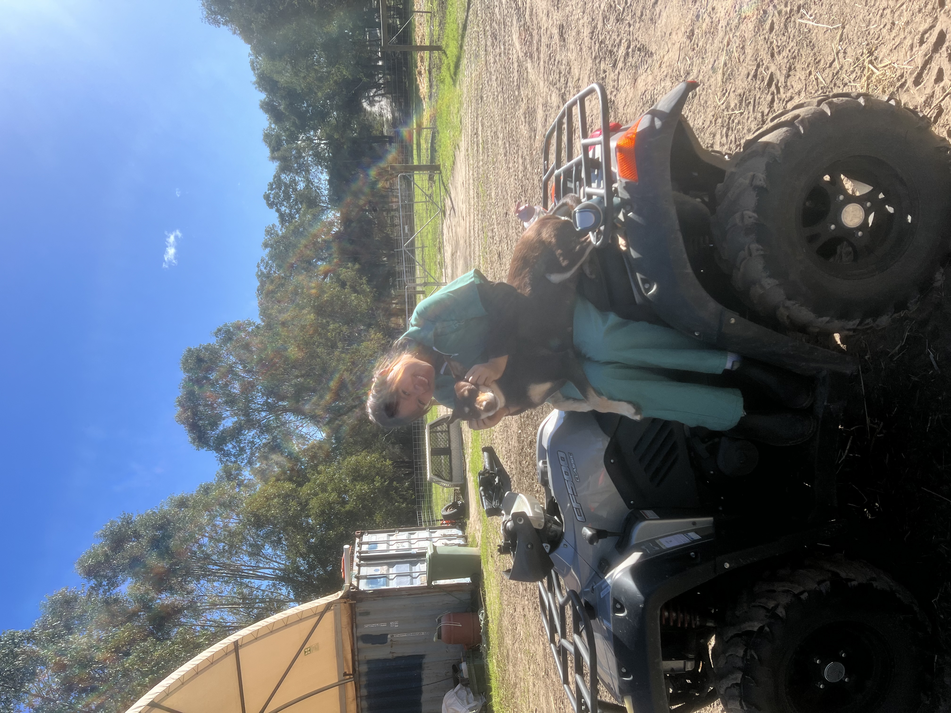 image-5