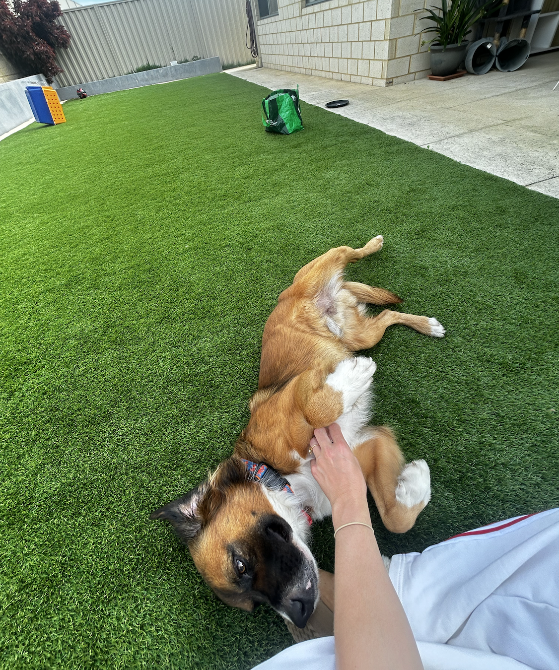 image-8