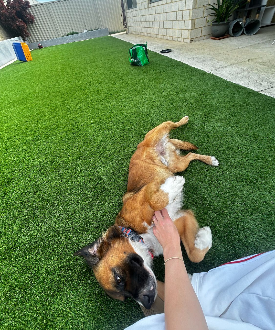image-8