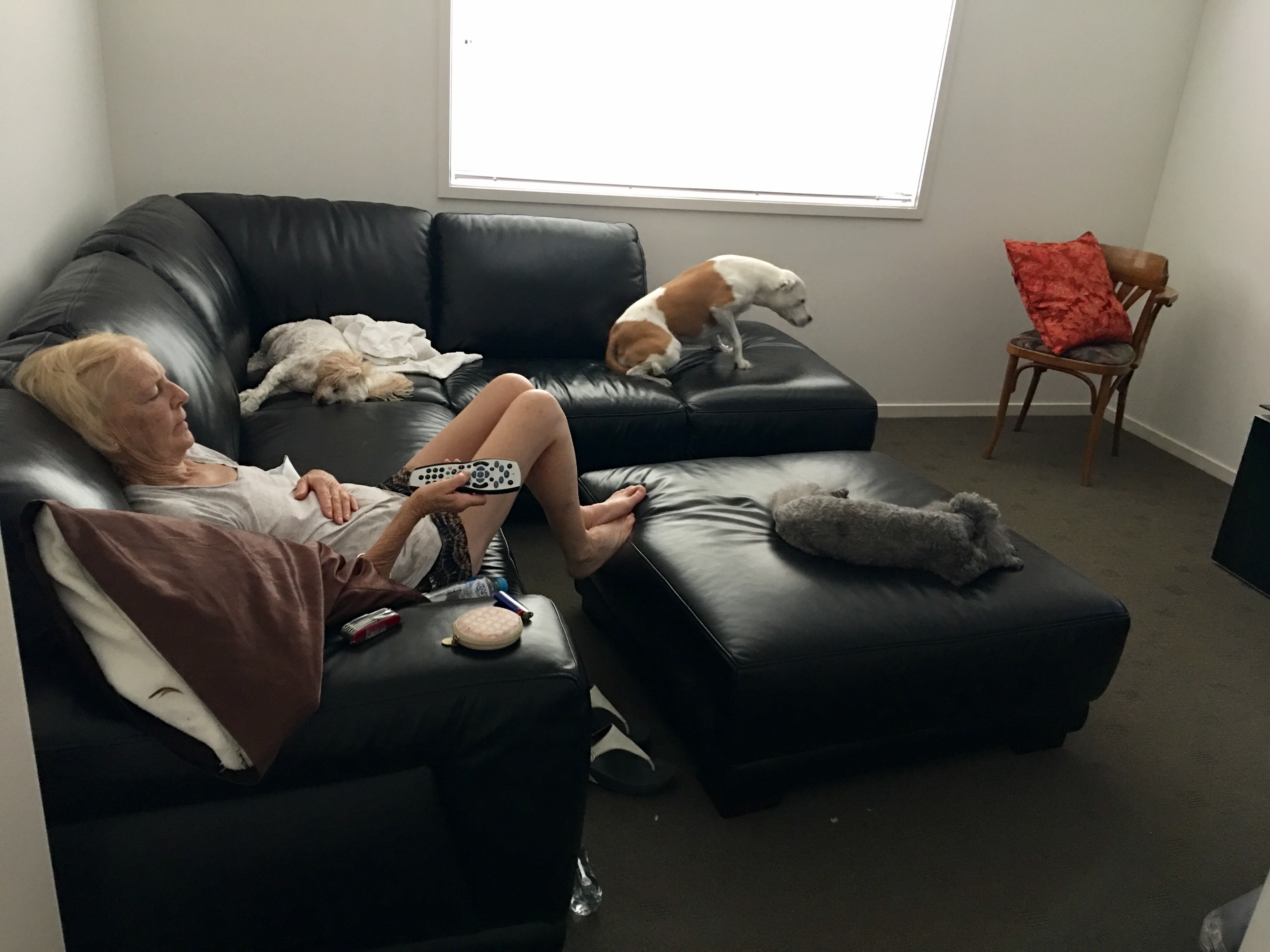 image-14