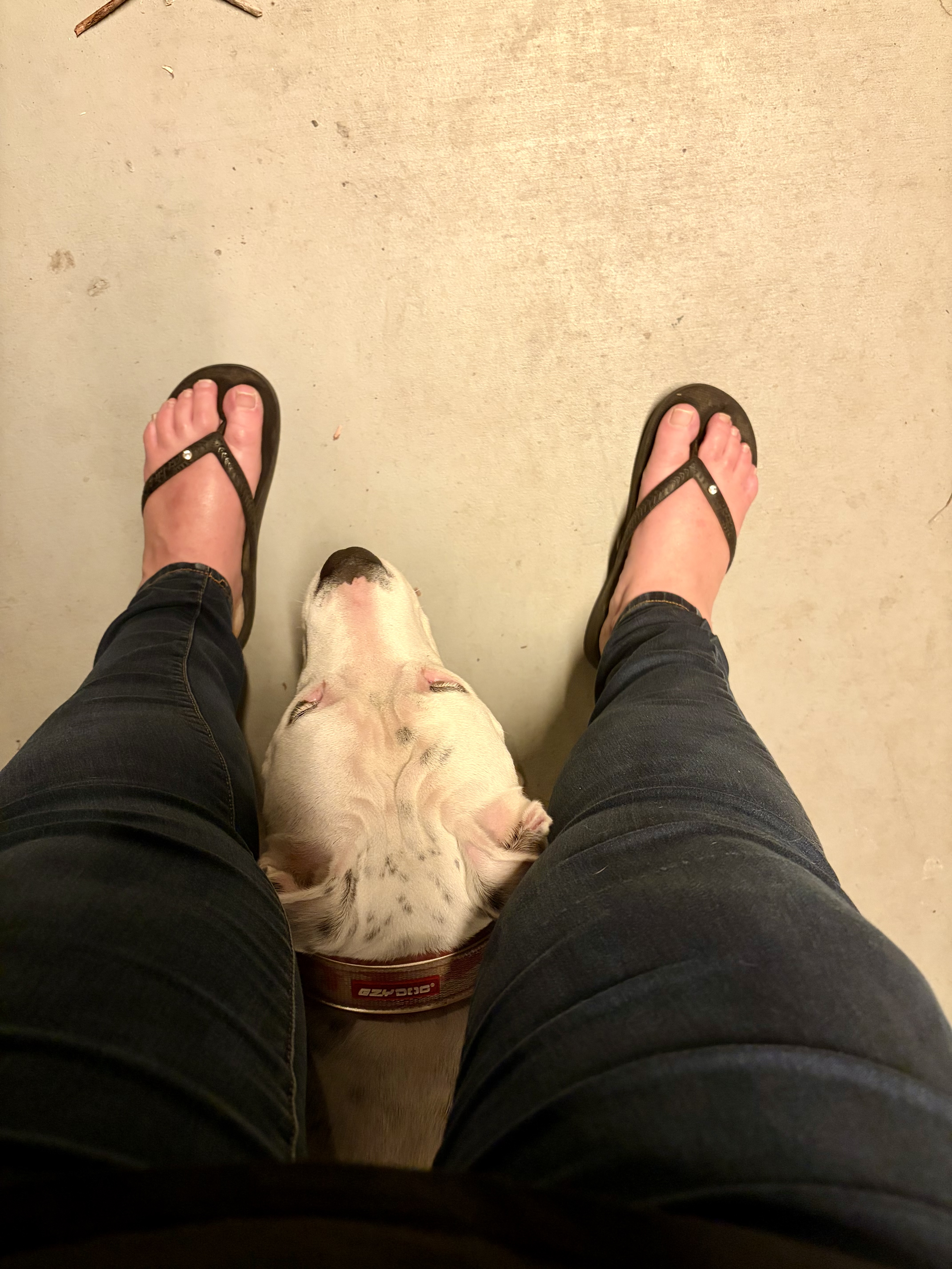 image-7
