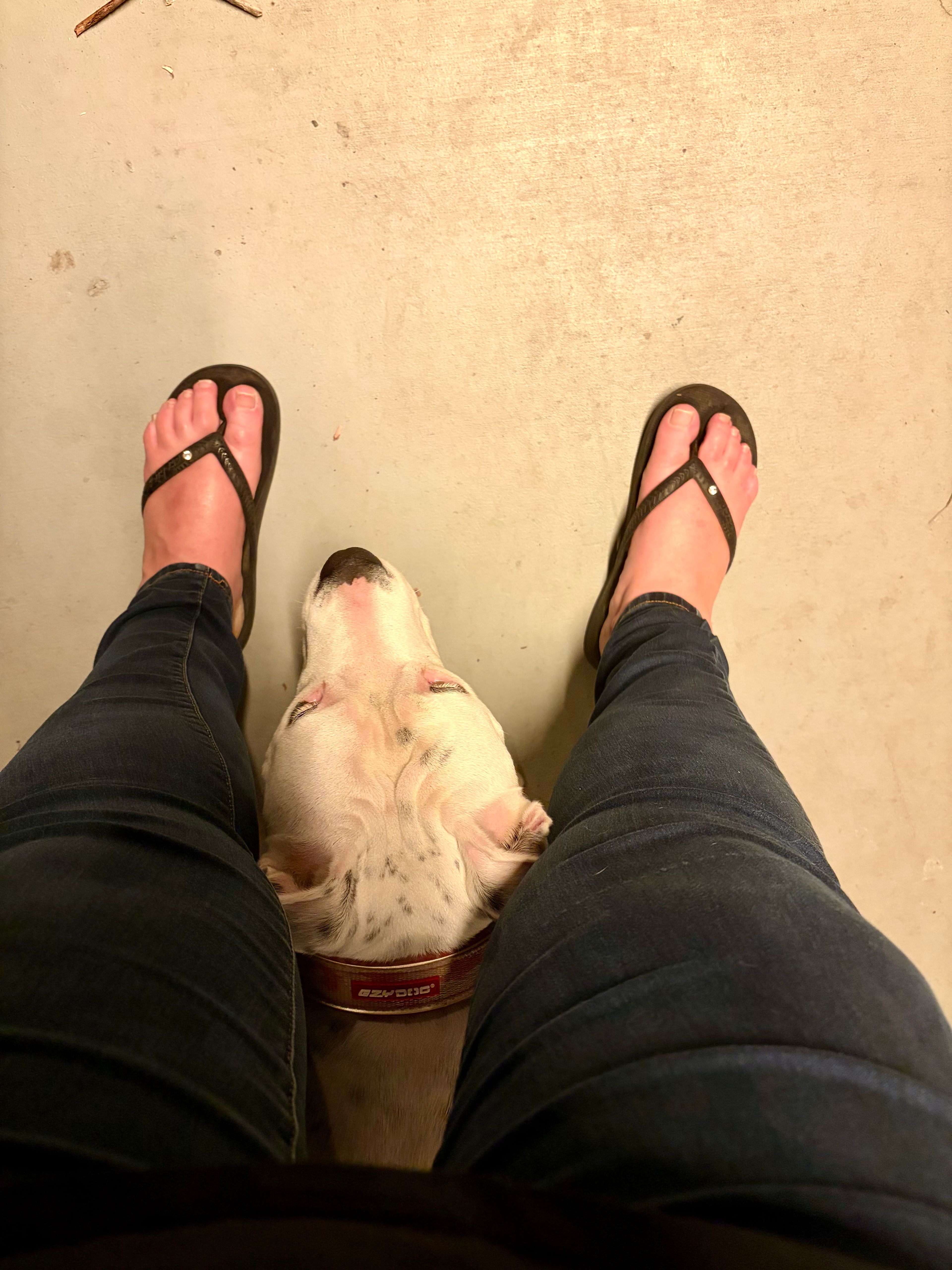 image-7