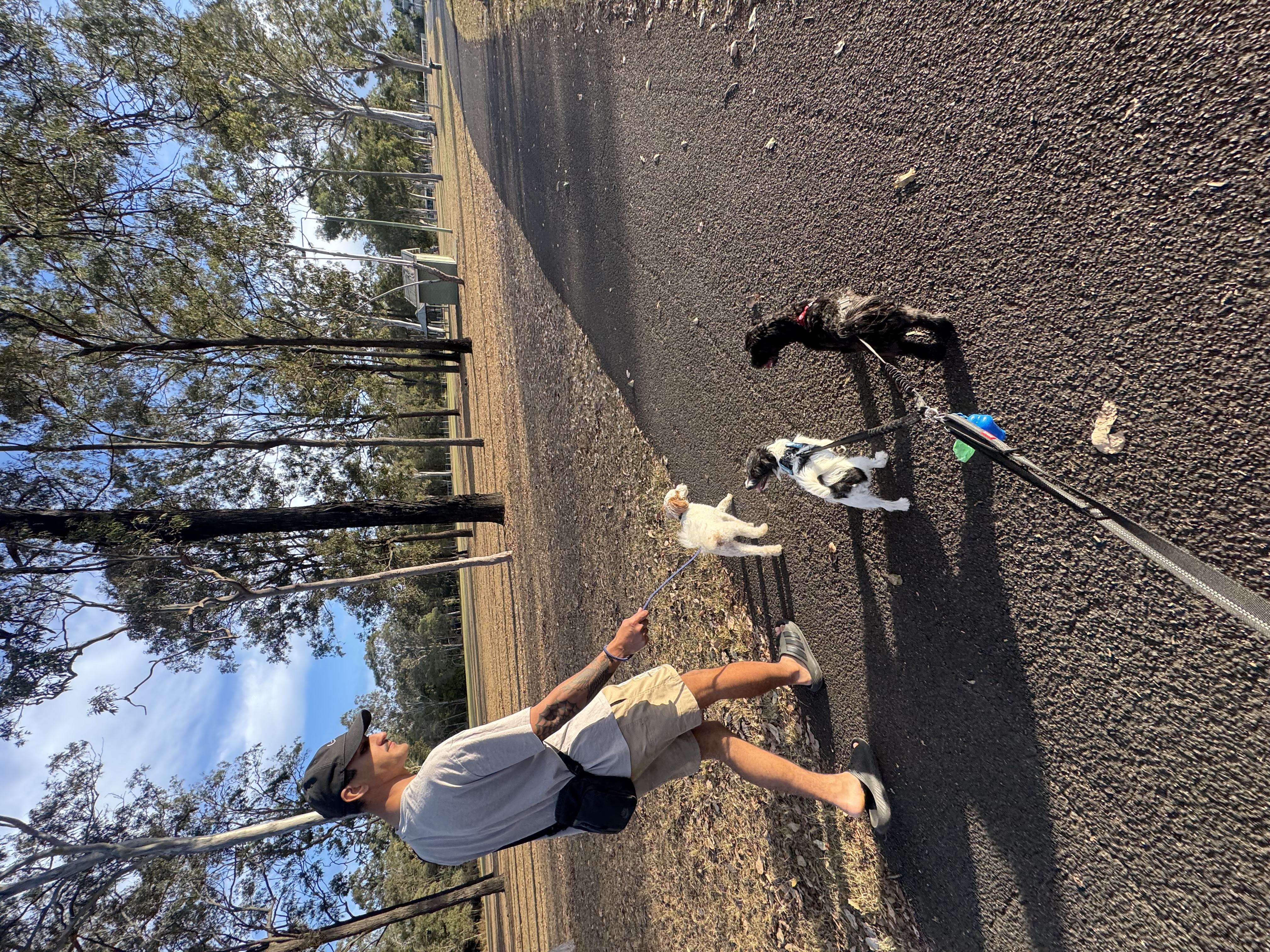 image-16