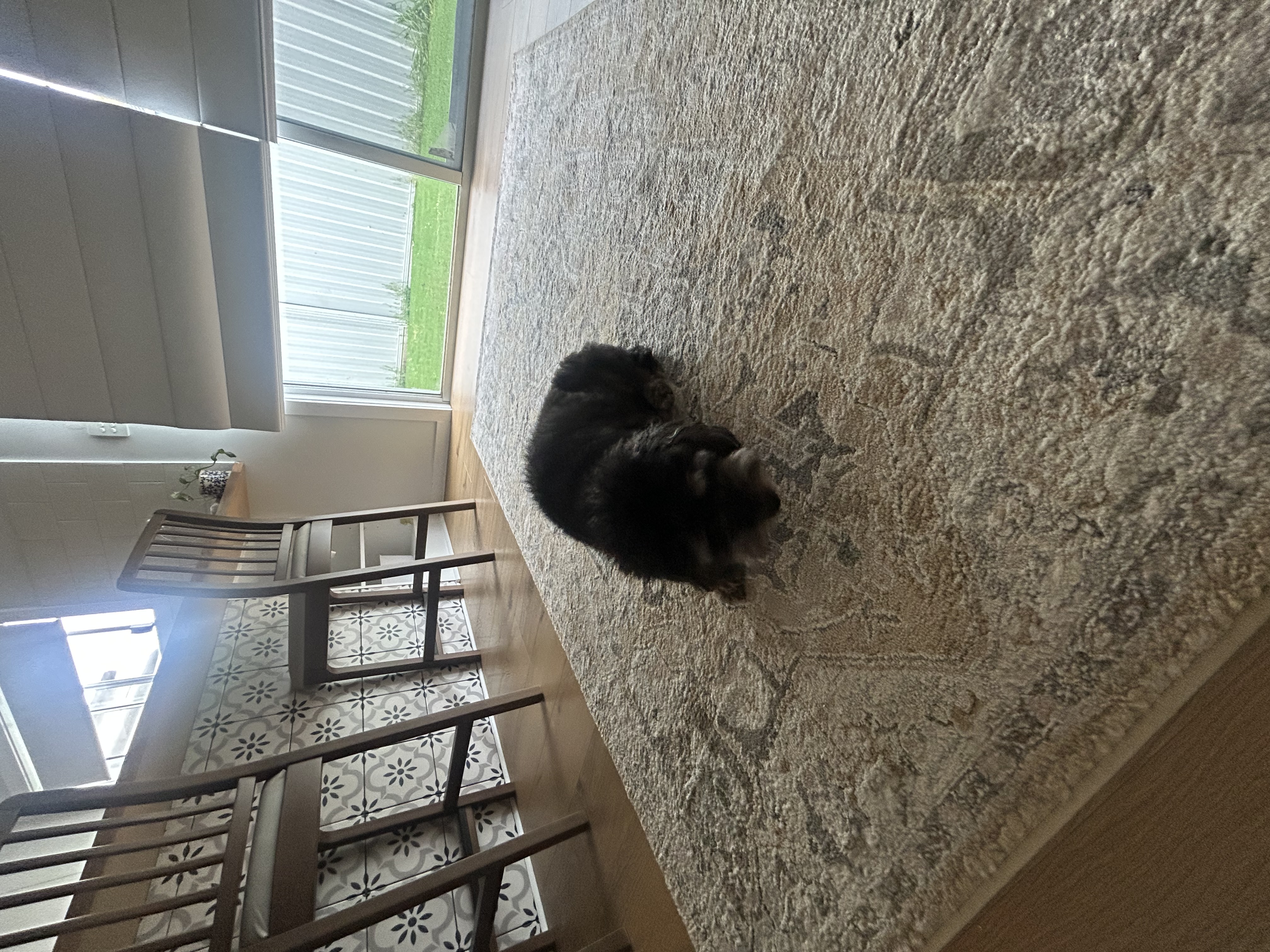 image-8