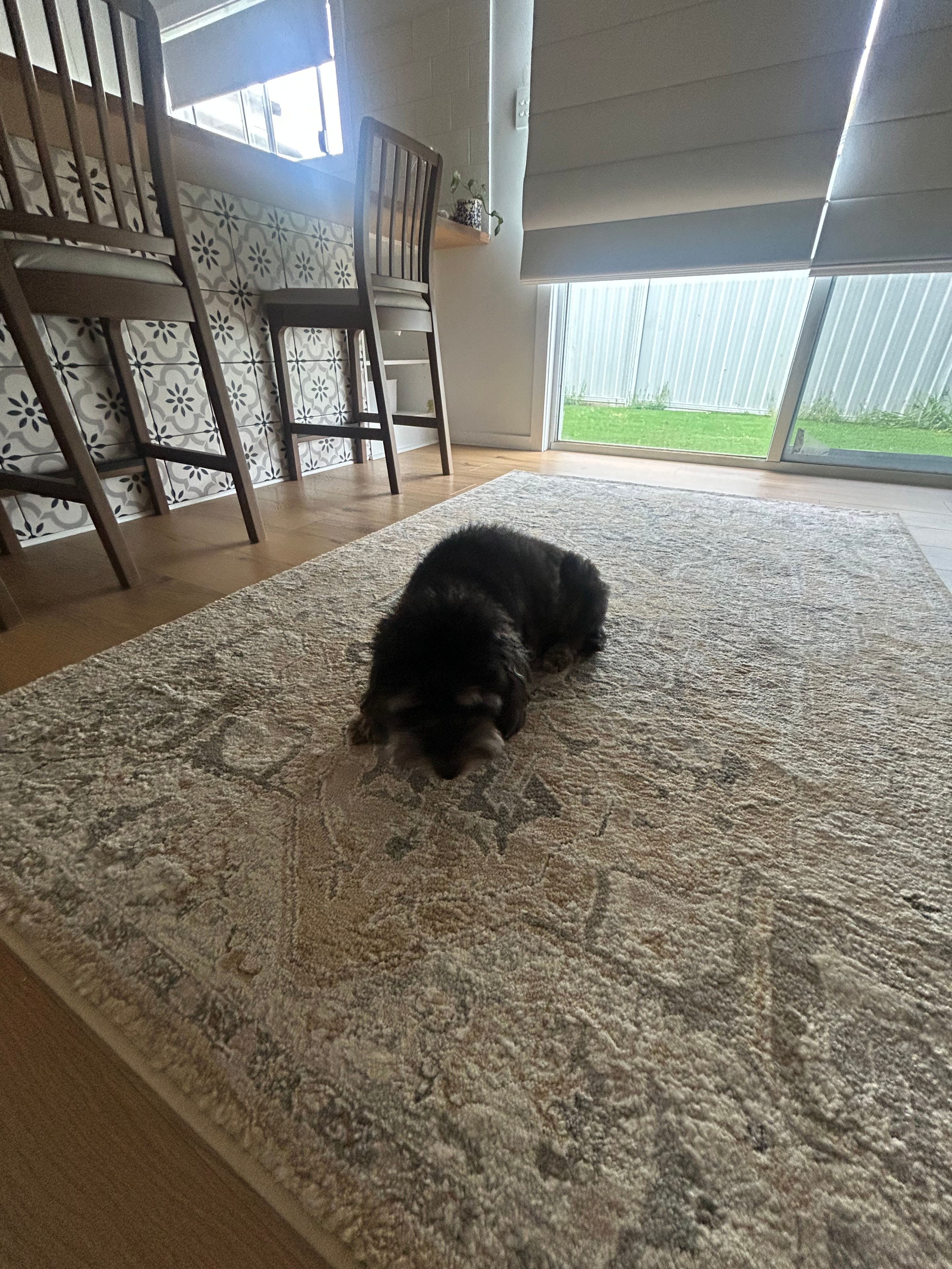 image-8