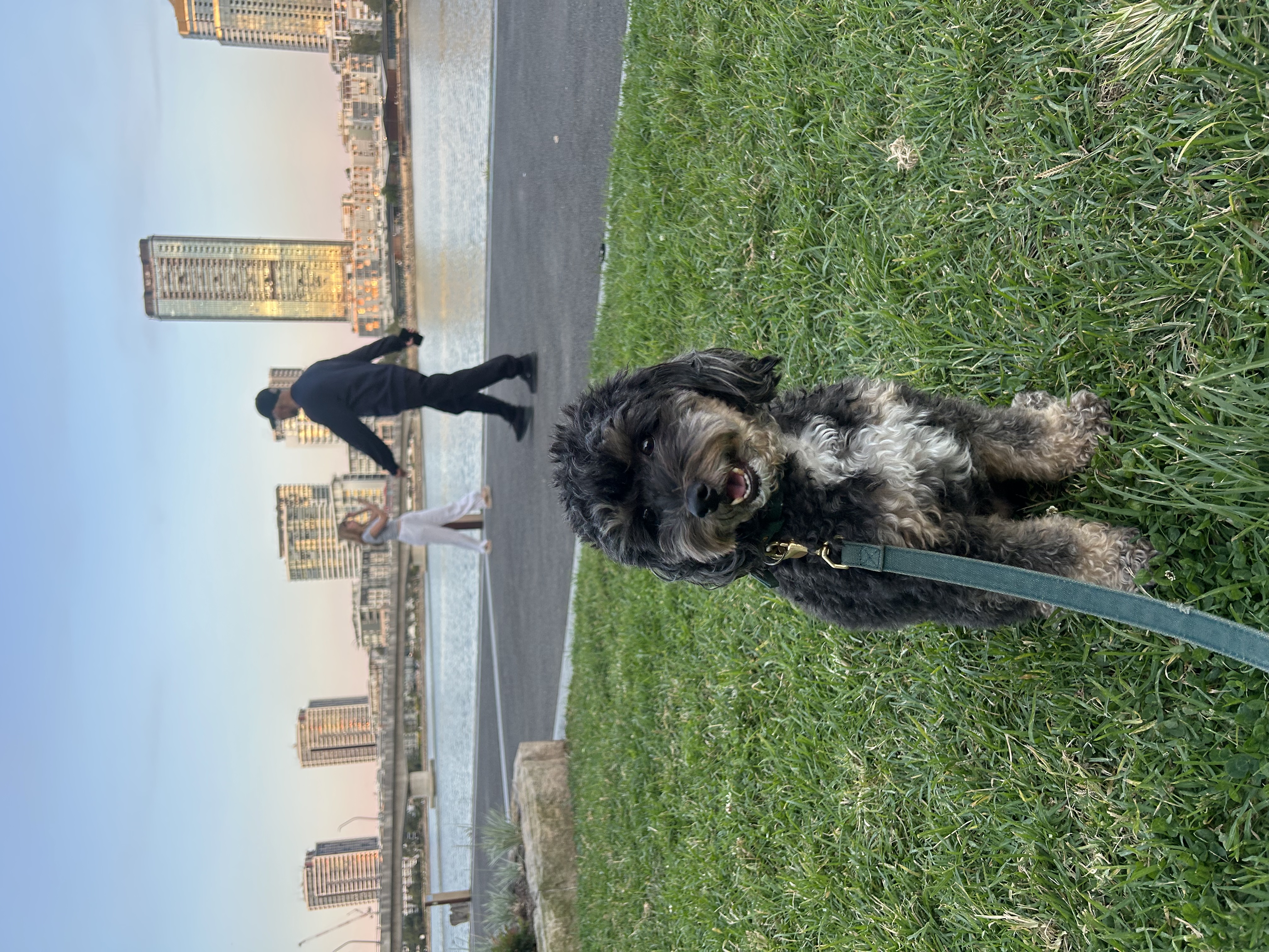 image-5
