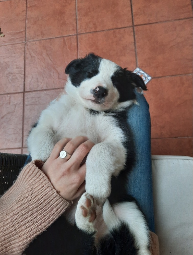 image-6