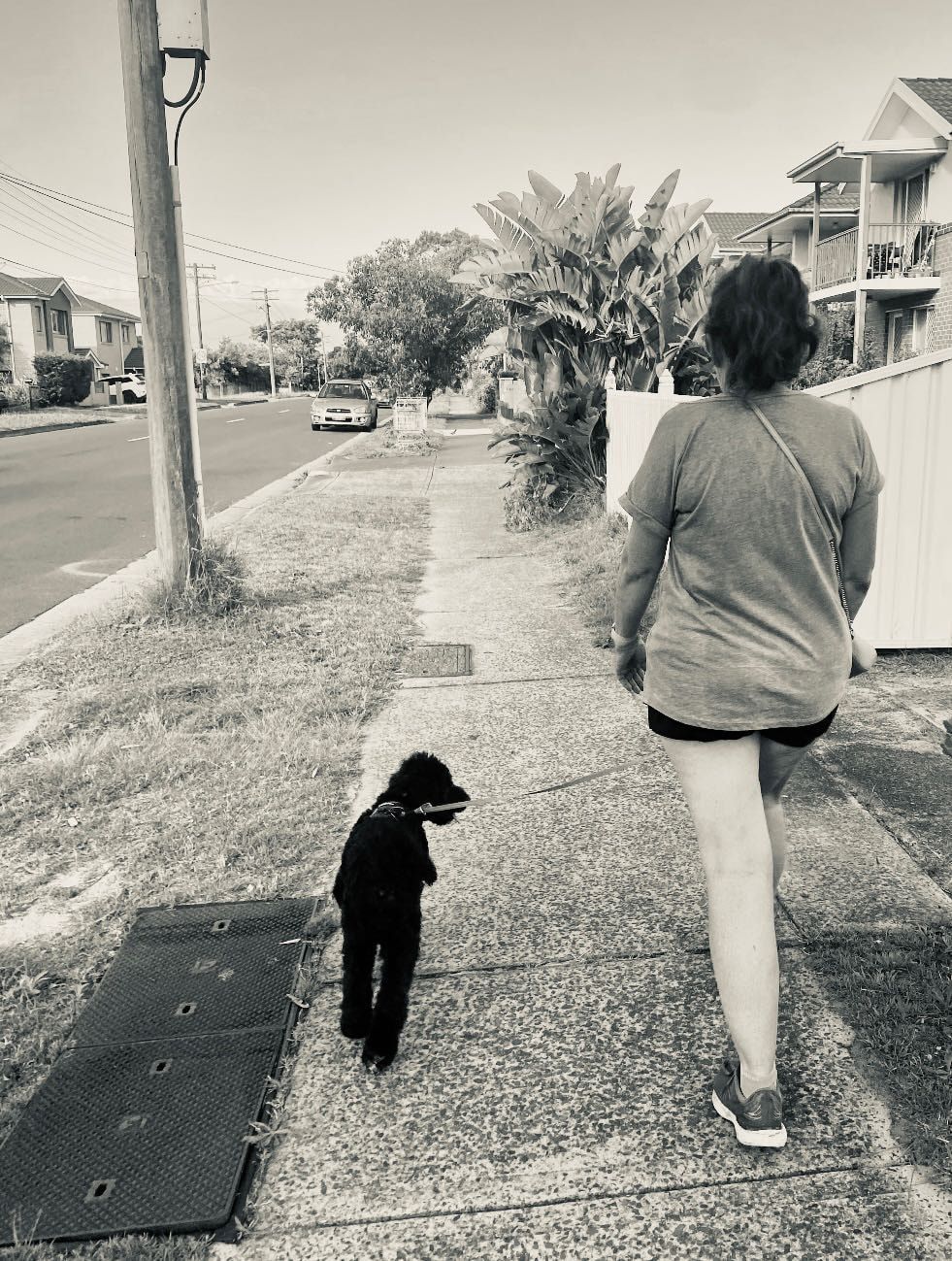 image-22