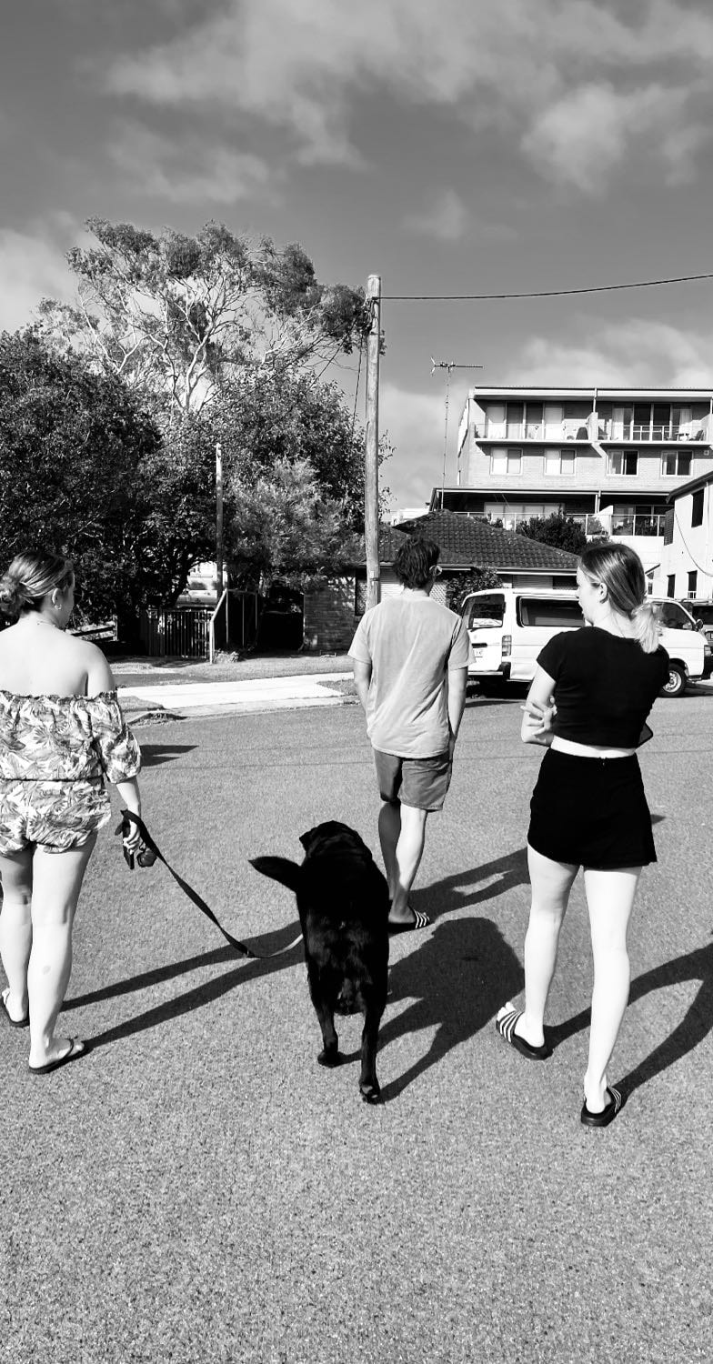 image-48