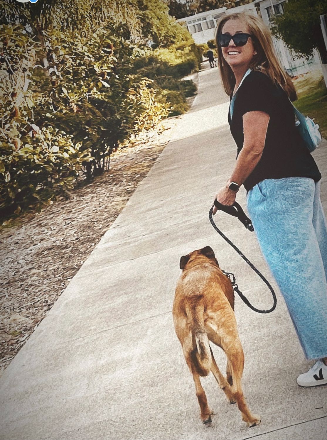 image-121