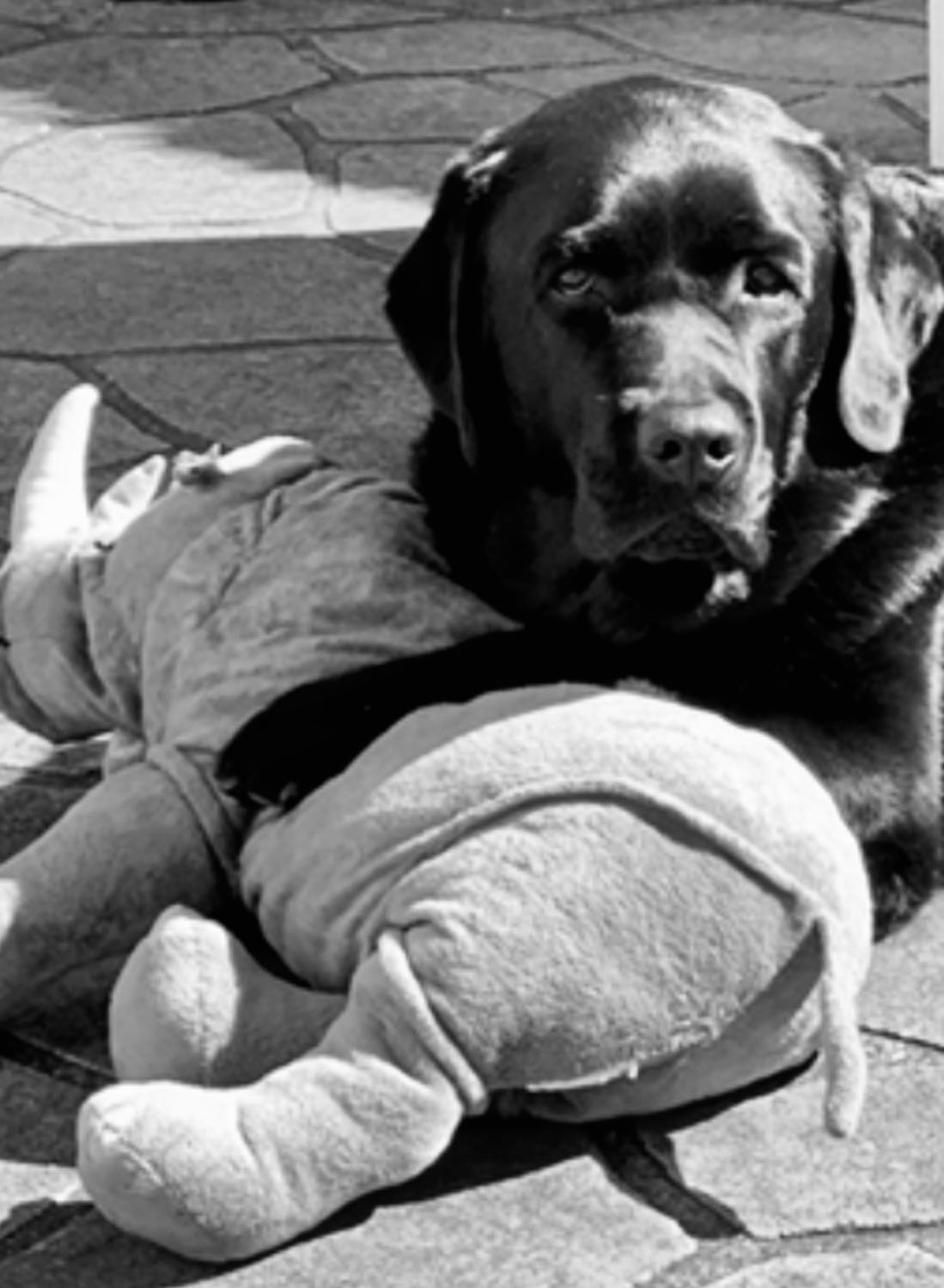 image-44