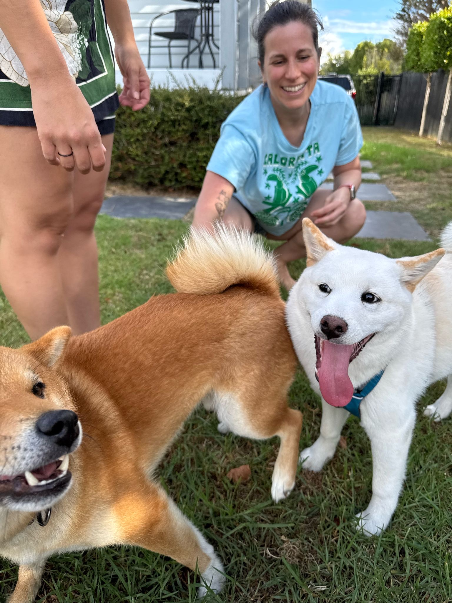 image-8