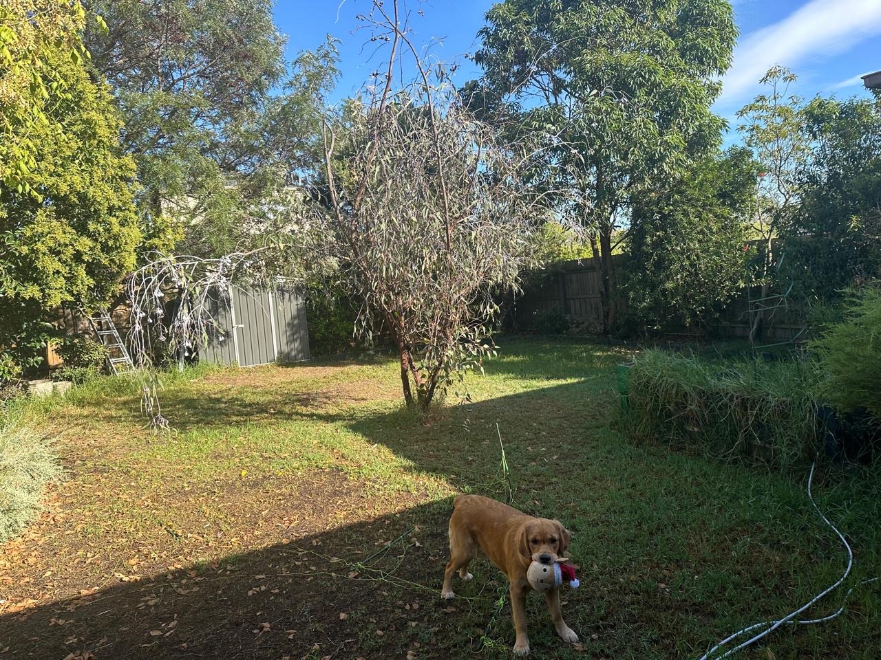 image-8