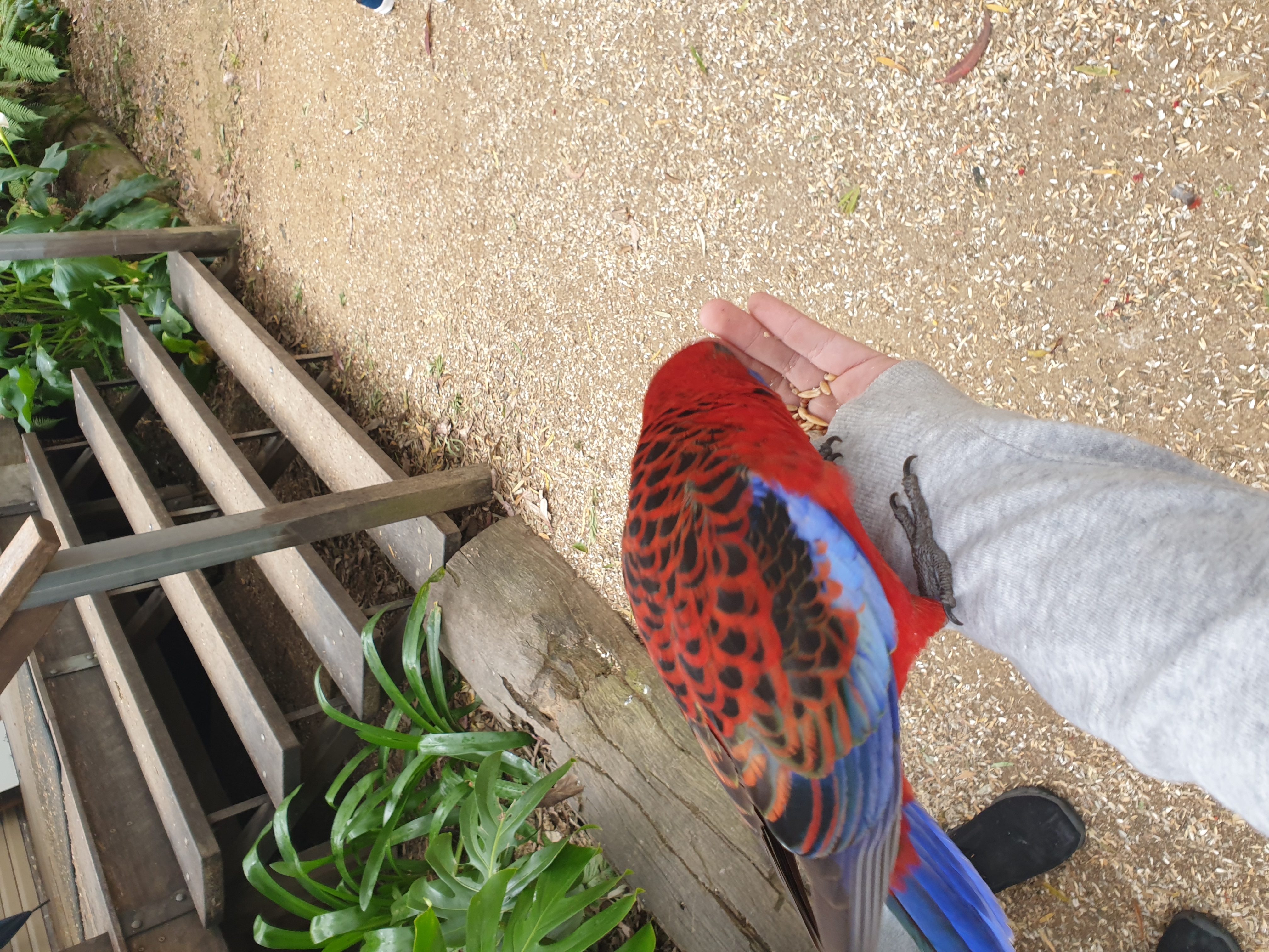 image-4