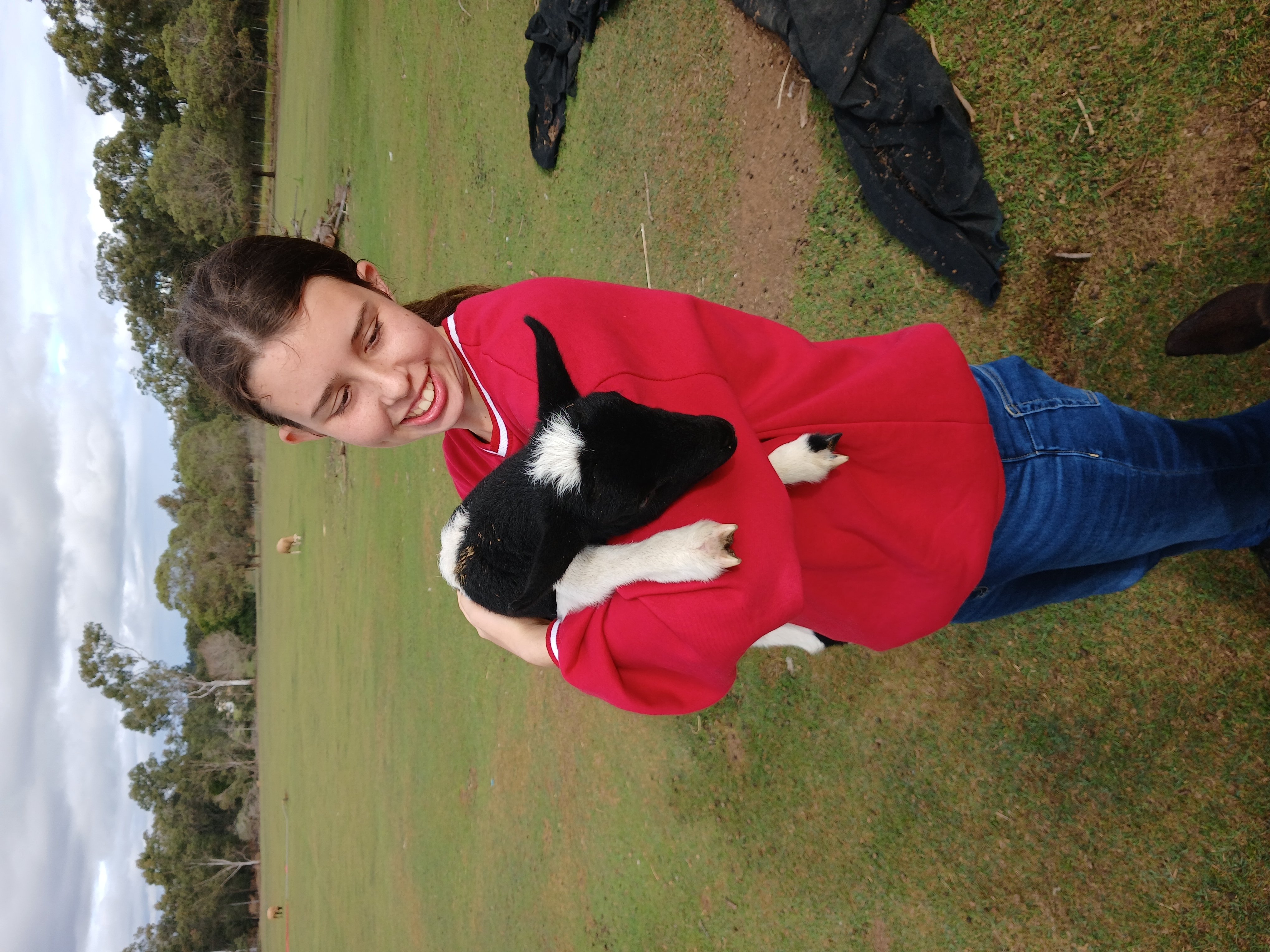 image-8
