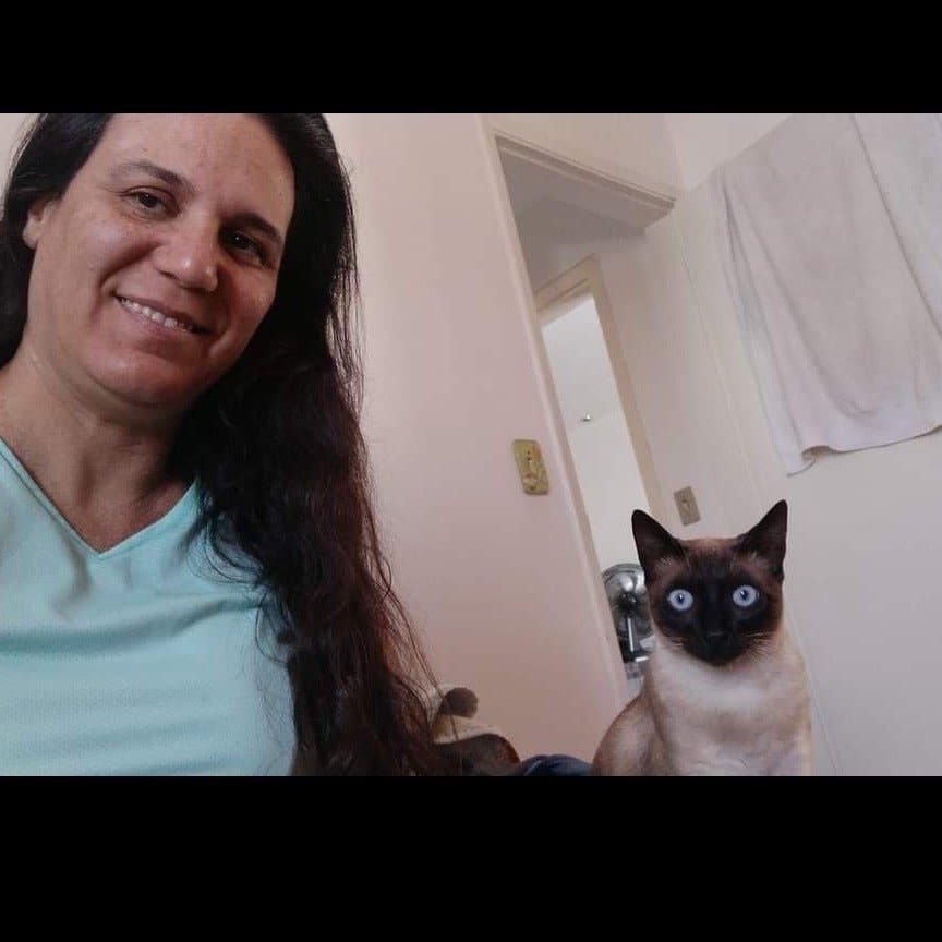 Gato