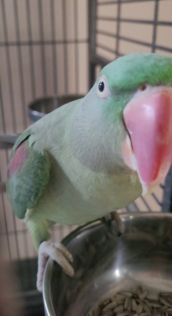 image-16